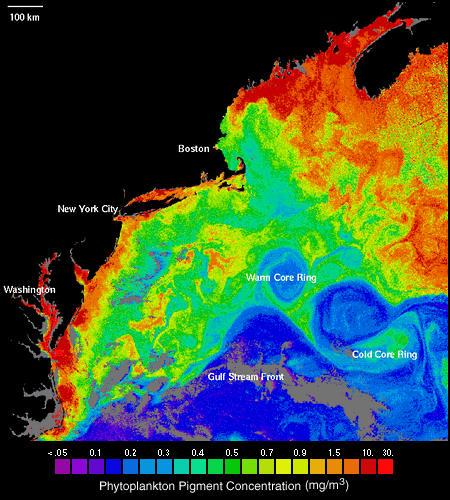 IMAGE SOURCE: NASA Coastal Zone Color Scanner