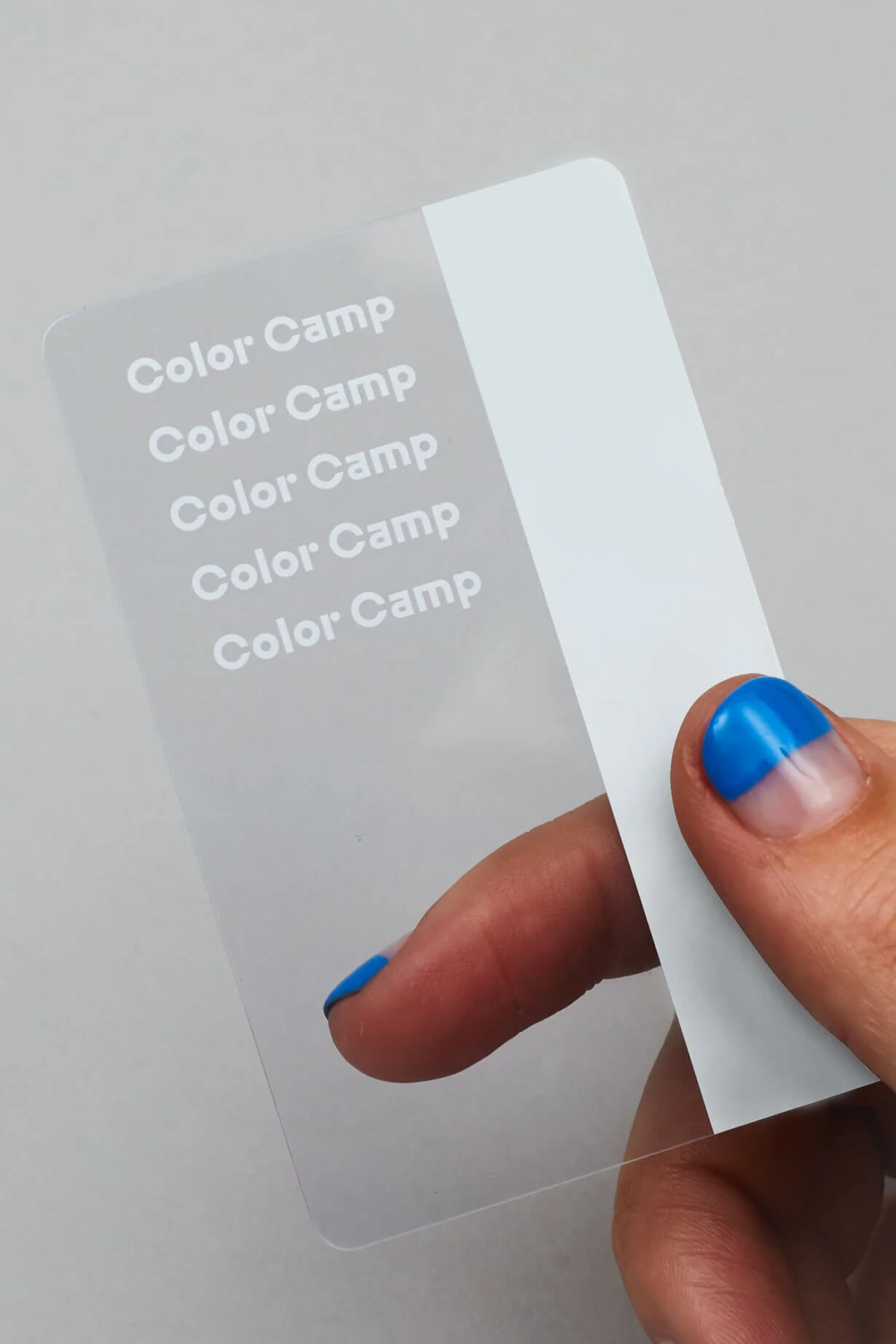 weekdaystudio-colorcamp-11-1230x1844.jpg
