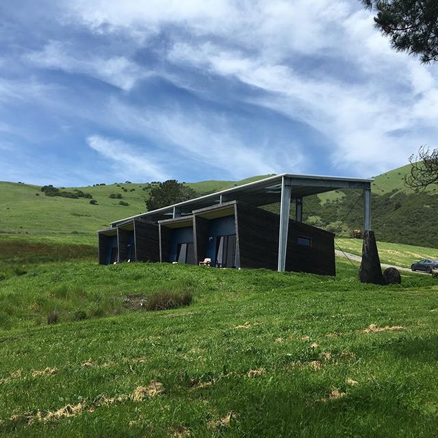 Today we went on a sculpture hike at the #djerassi artist in residency in the #santacruzmountains . Here a selection of the highlights... I know it&rsquo;s not the art...But seriously - it is hard to come up with anything as beautiful as nature - a t