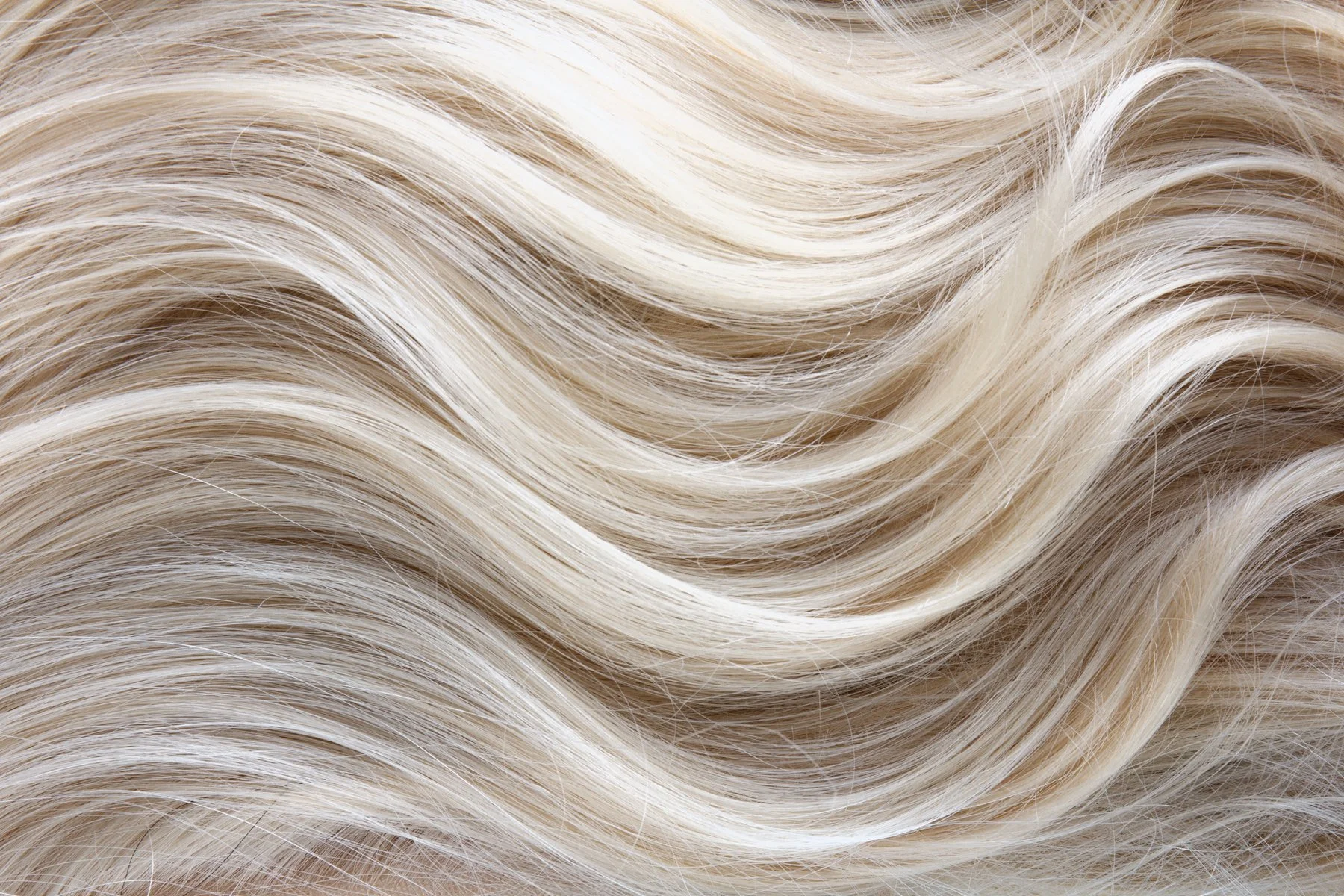 AdobeStock_164936695.jpg