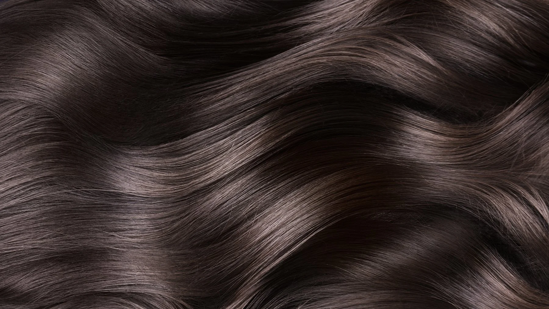 AdobeStock_417949090.jpg