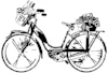 ros prov bike and type.jpg