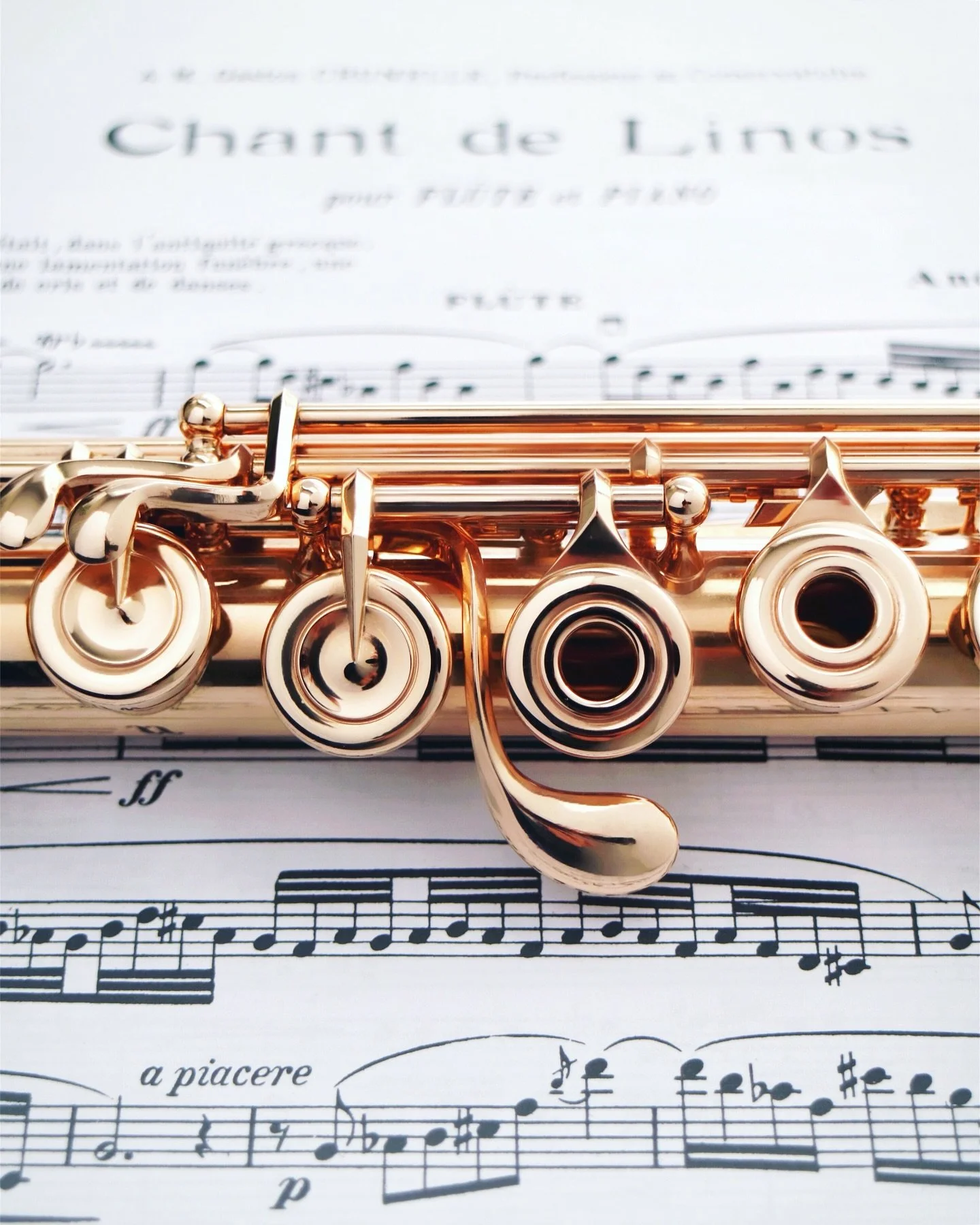 First week back to school in the books! I loved seeing all my fluties and meeting new students this week. Helping beginners make their first sounds is the best! 🥰🥹

#flute #flutist #fluteplayer #powellflutes #flutistry #flautist #goldflute #flutete