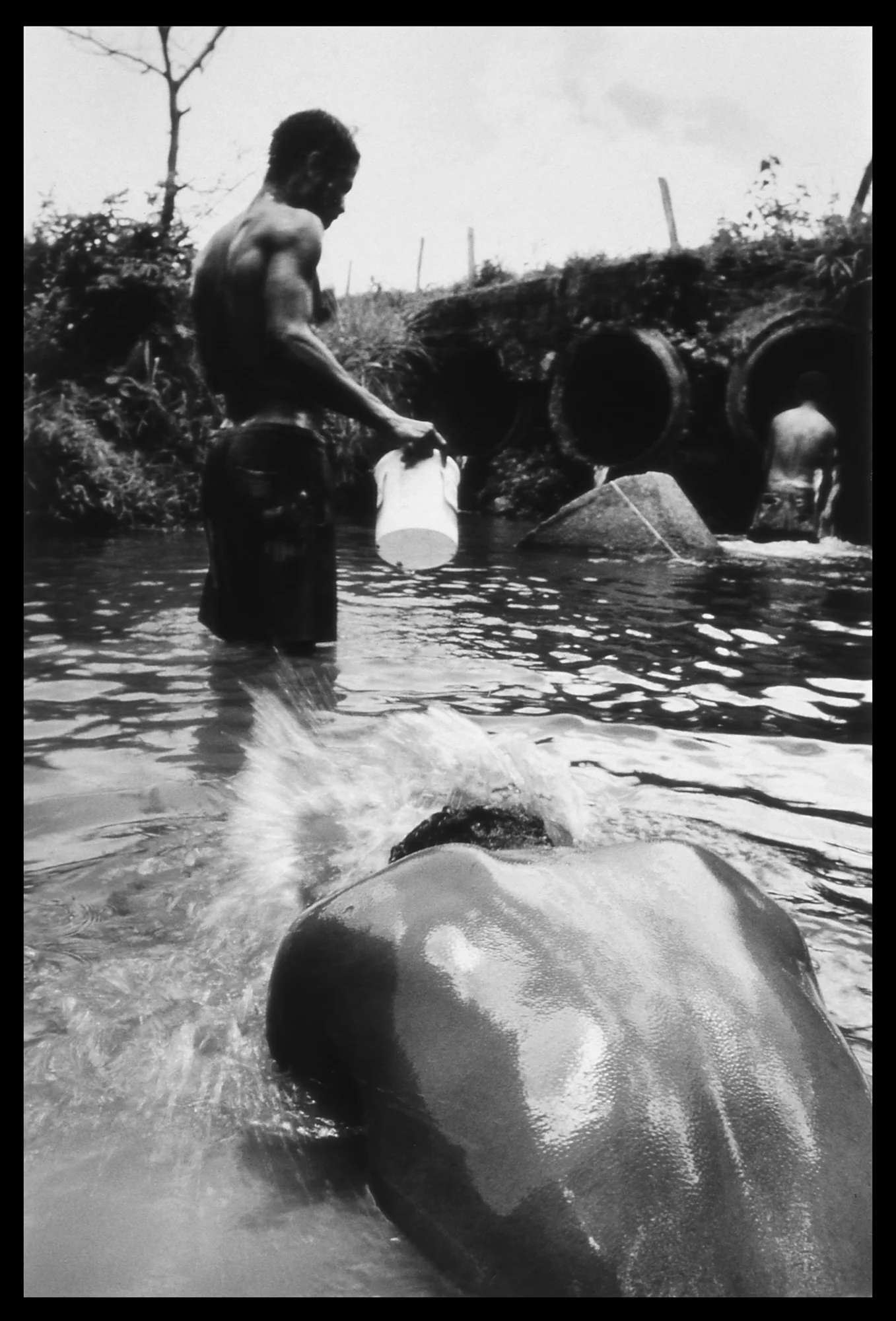 Landless activists. Espirito Santo, Brazil.