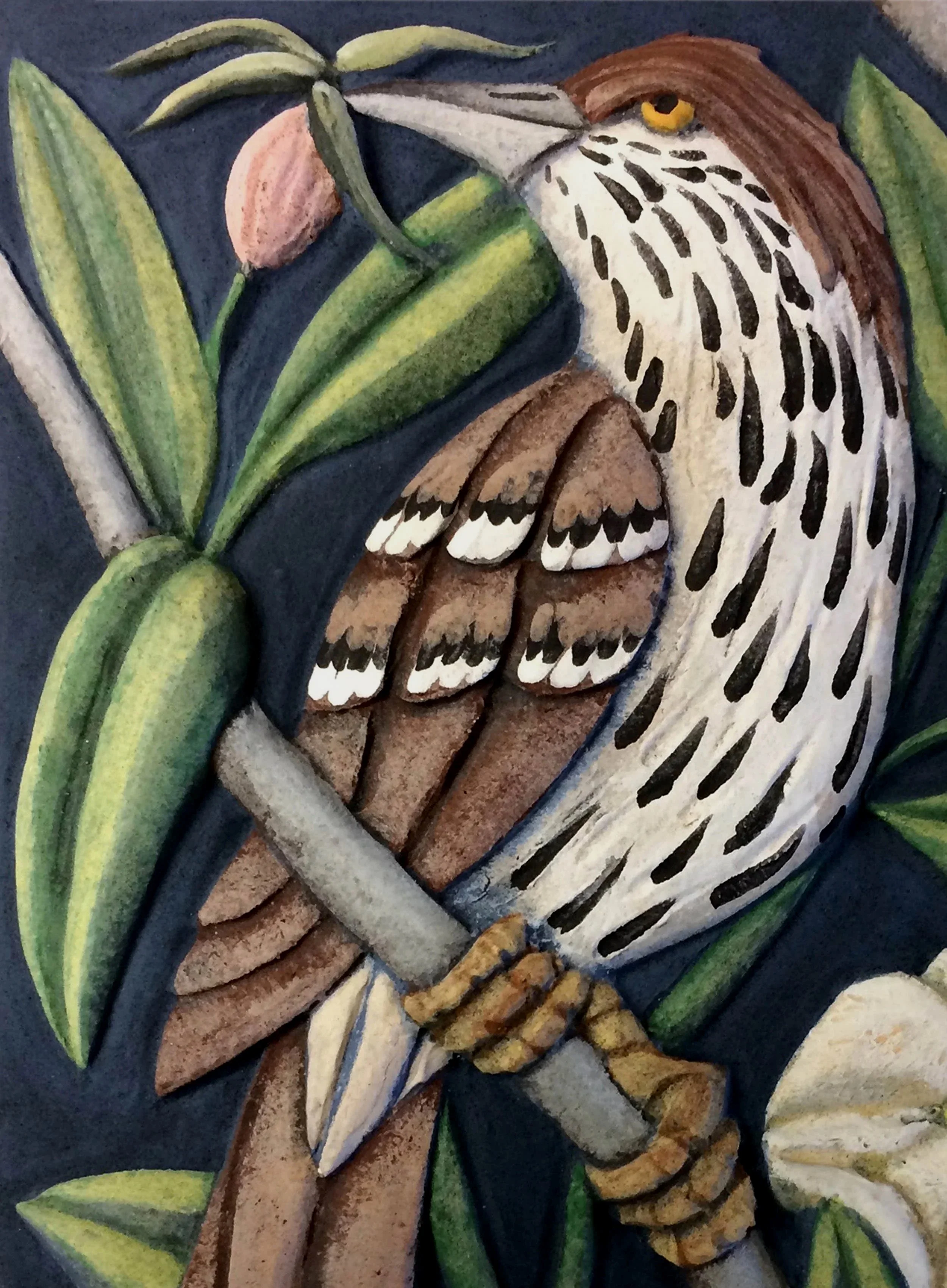 BrownThrasherCover.jpg