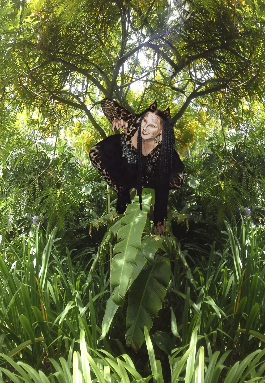 Embracing The Wild