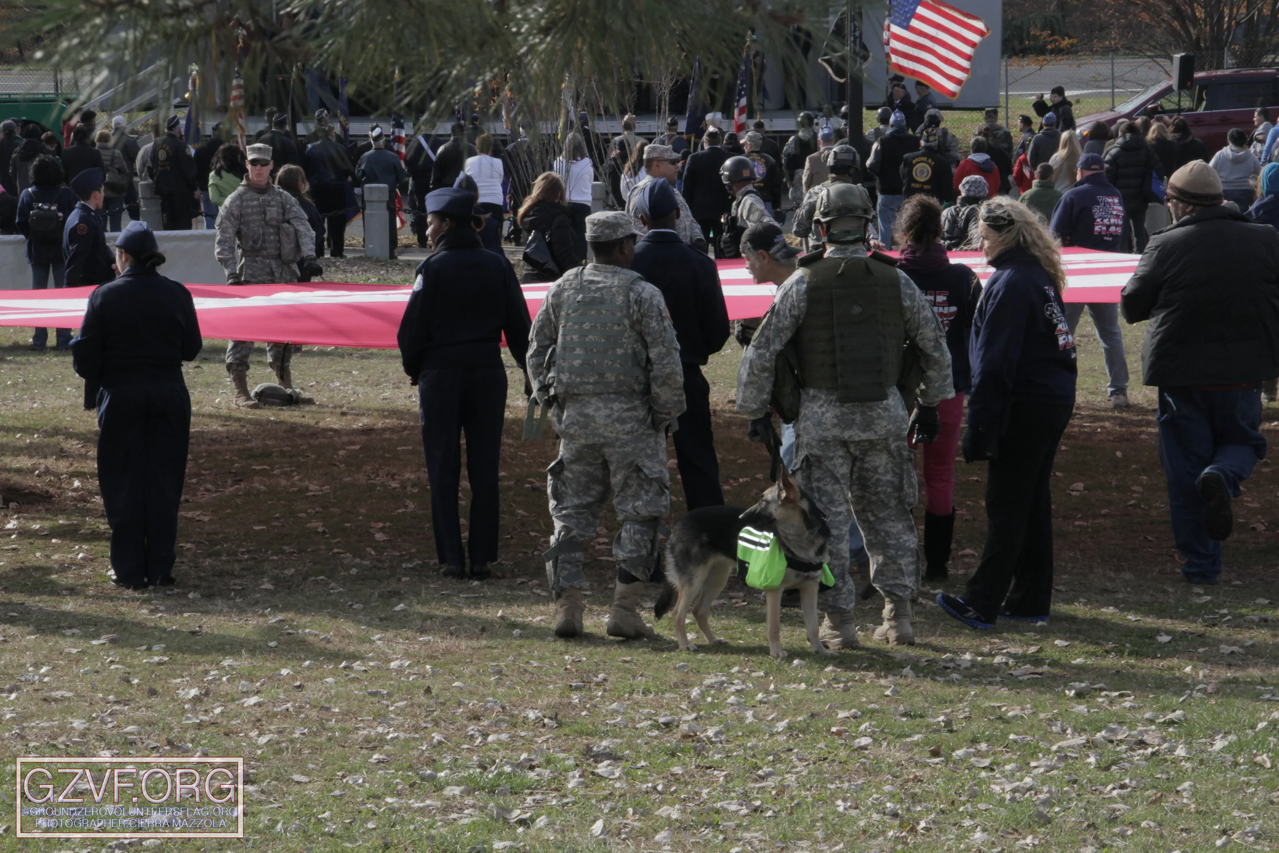 IMG_5267 copy.jpg