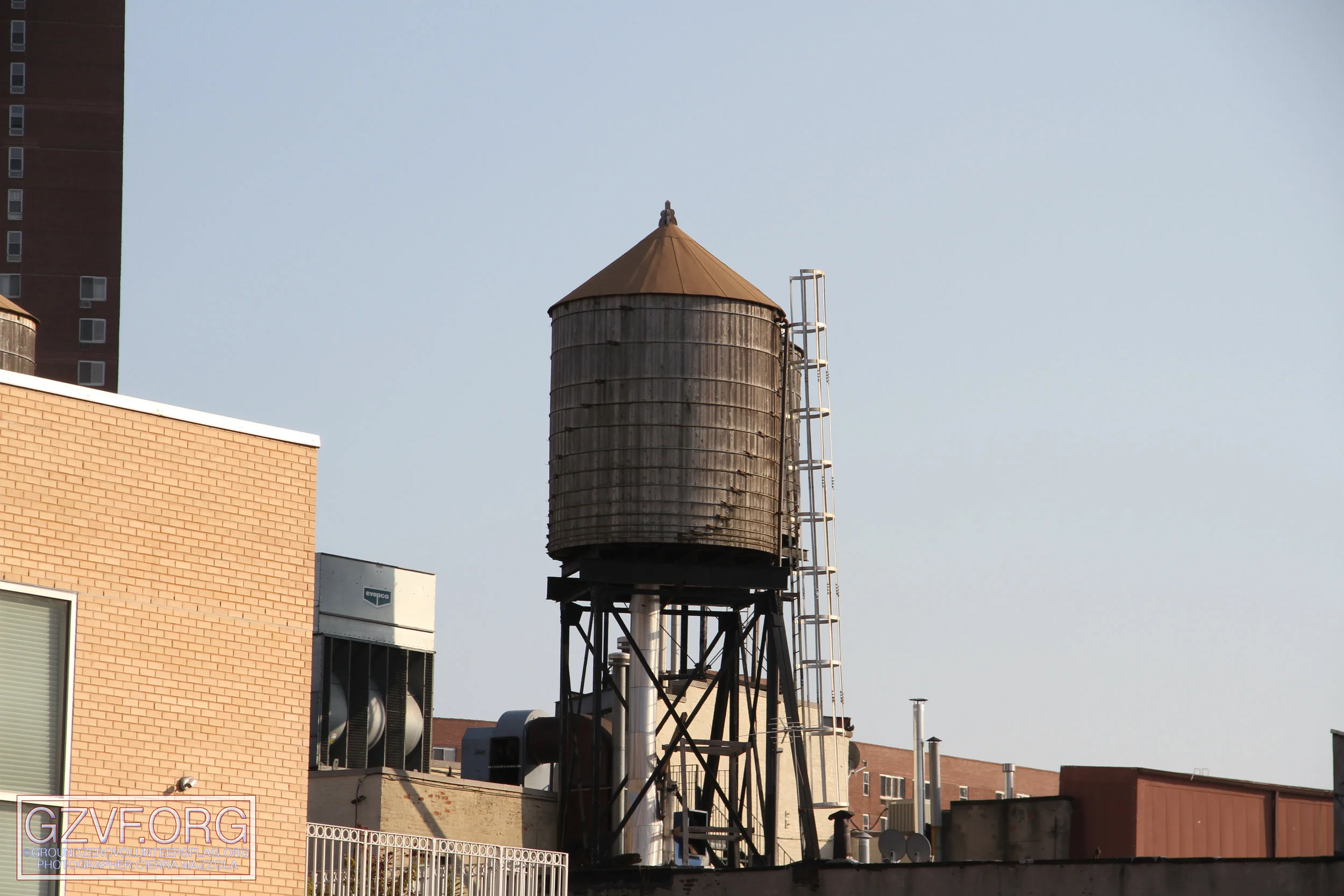 IMG_2808 copy.jpg