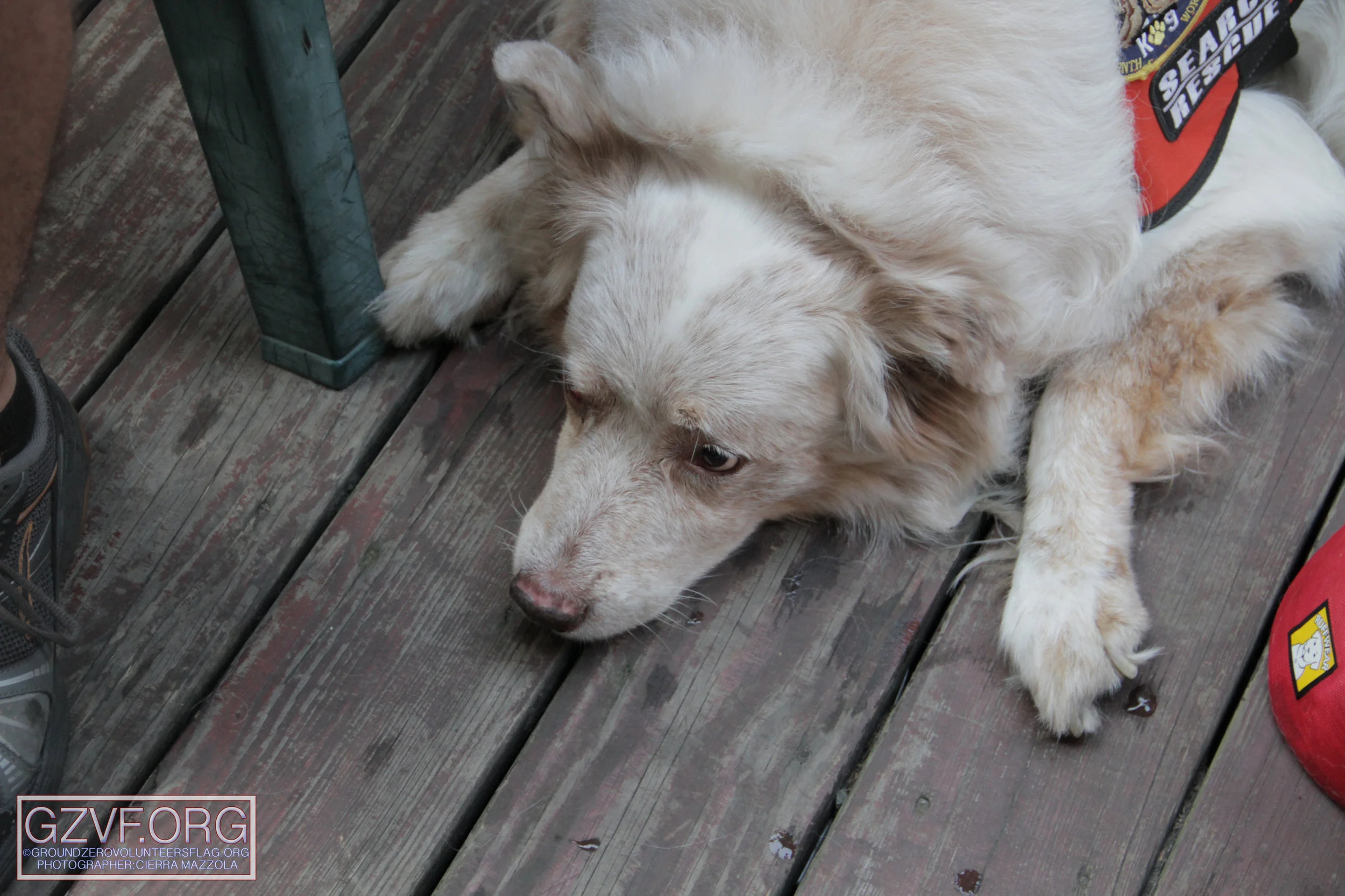 IMG_2879 copy.jpg