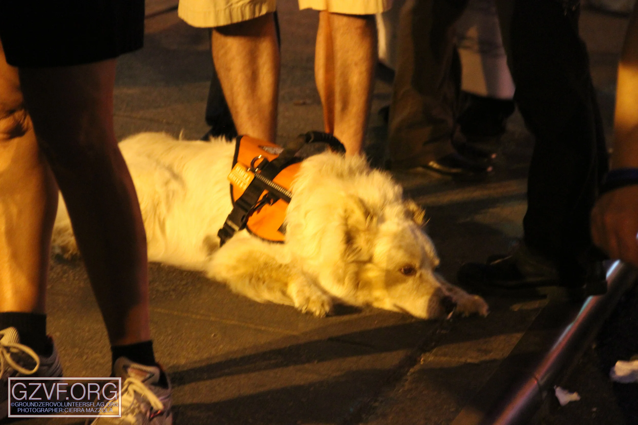 IMG_3093 copy.jpg