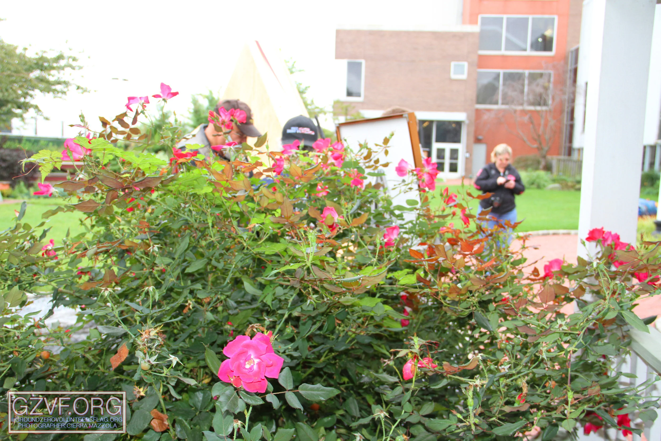IMG_3279 copy.jpg