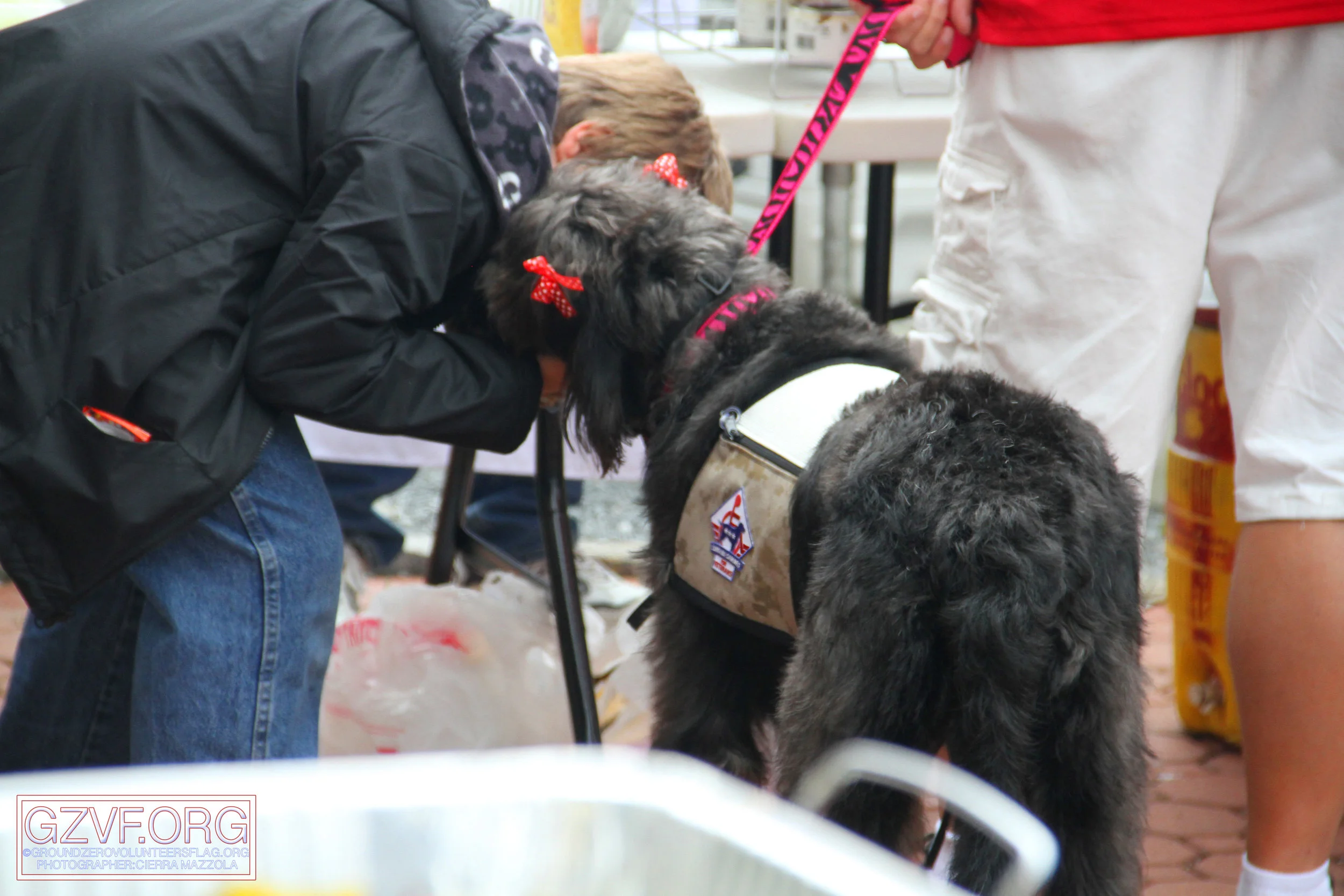 IMG_3513 copy.jpg
