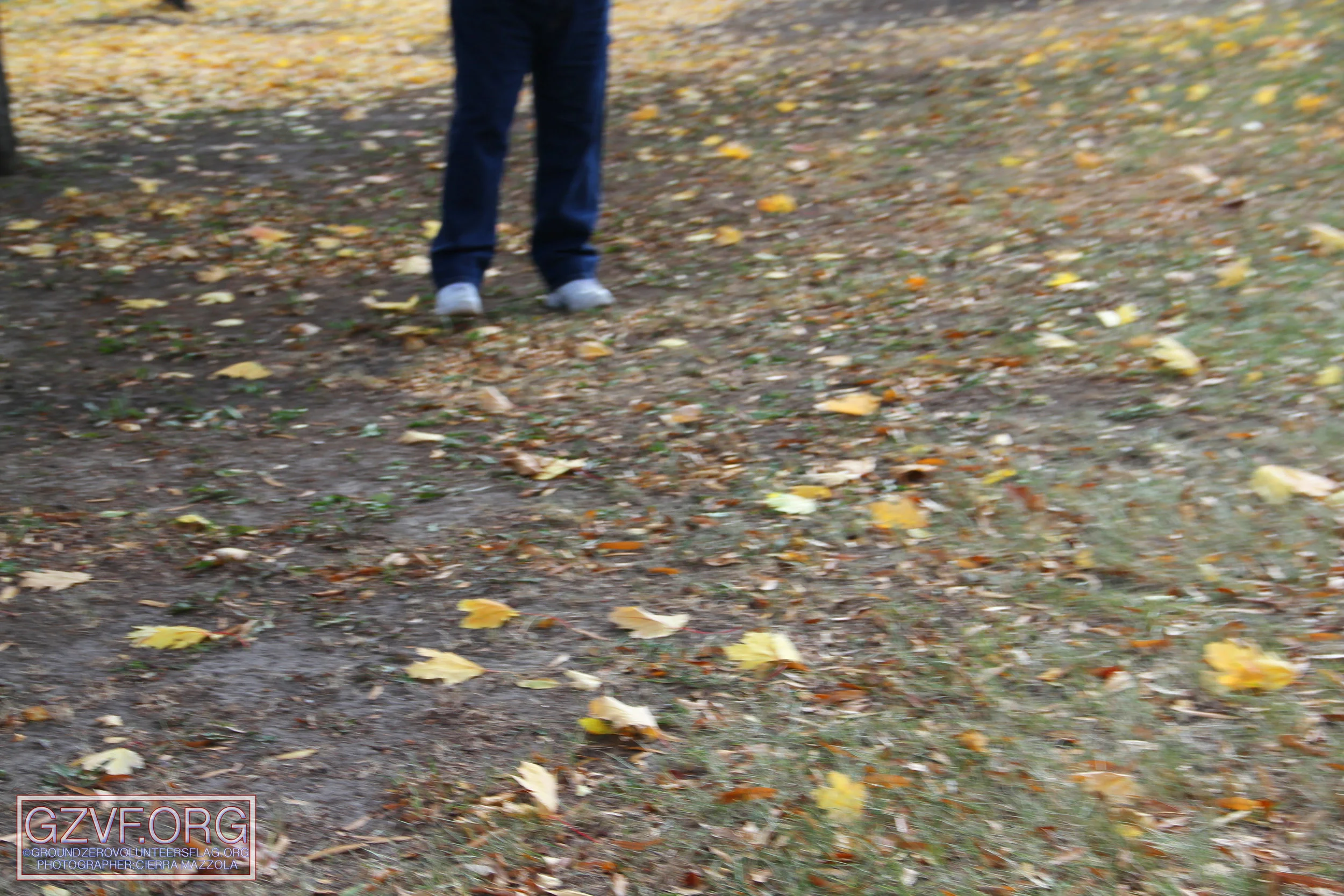 IMG_5834 copy.jpg