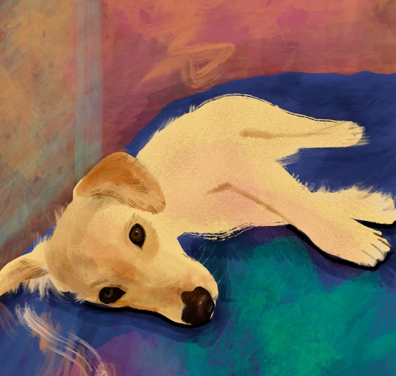 Pet Portrait - Suji.jpeg