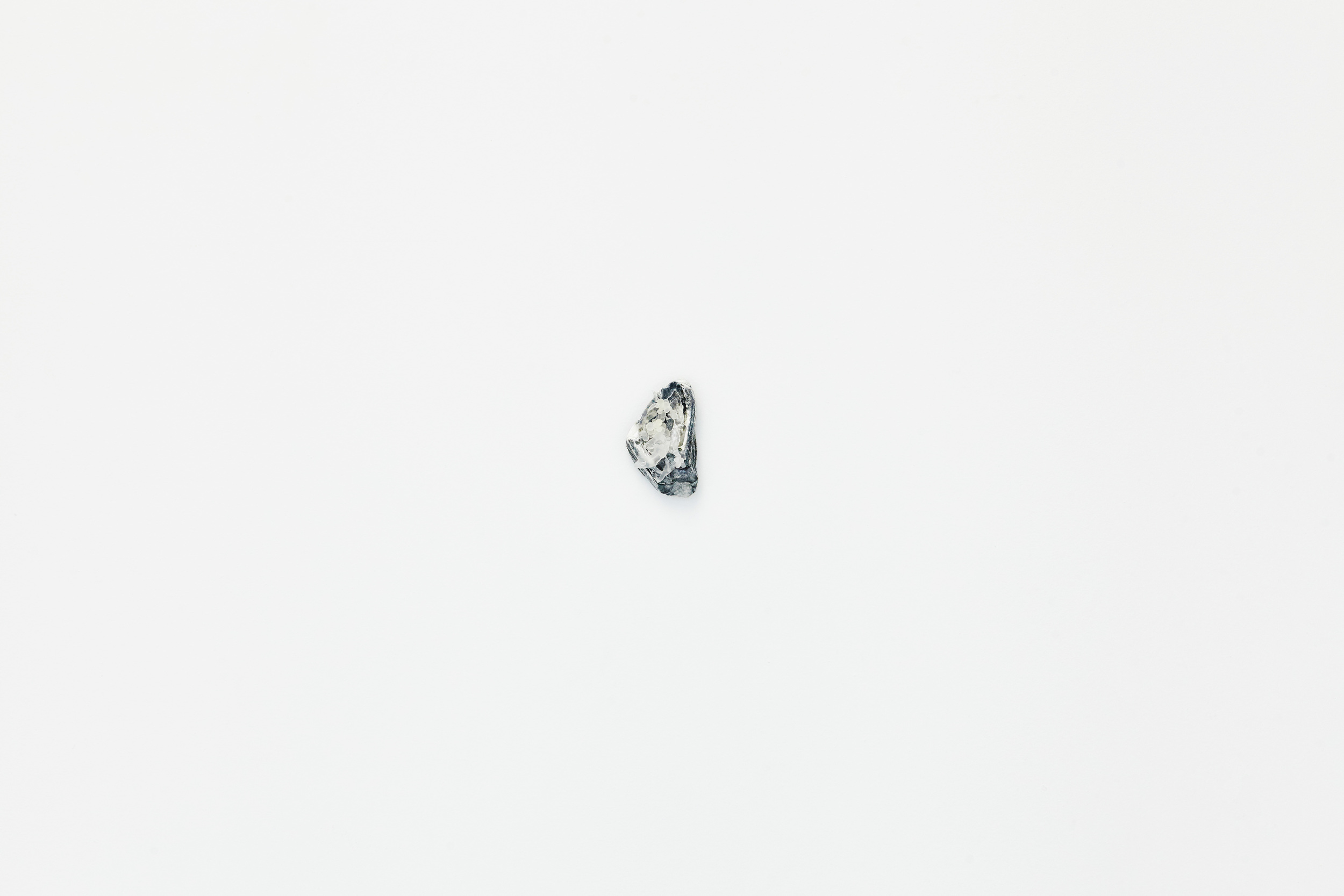 Joshua Petherick