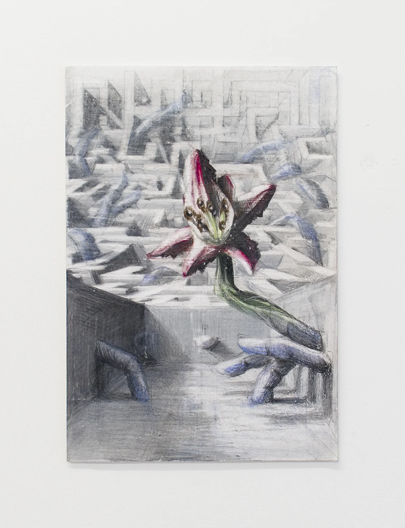If Then Only, coloured pencil on paper, 2017