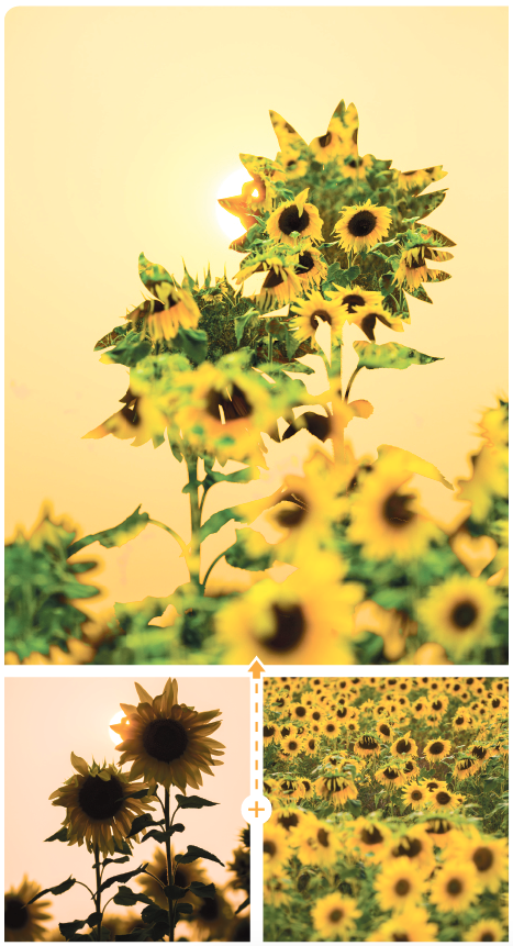 MERGING PHOTOS: The two photos above merged together created the photo above them. By merging the photos together either in-camera or in Adobe Photoshop you can create a new image that fills the darker parts of the first image with the second image. 