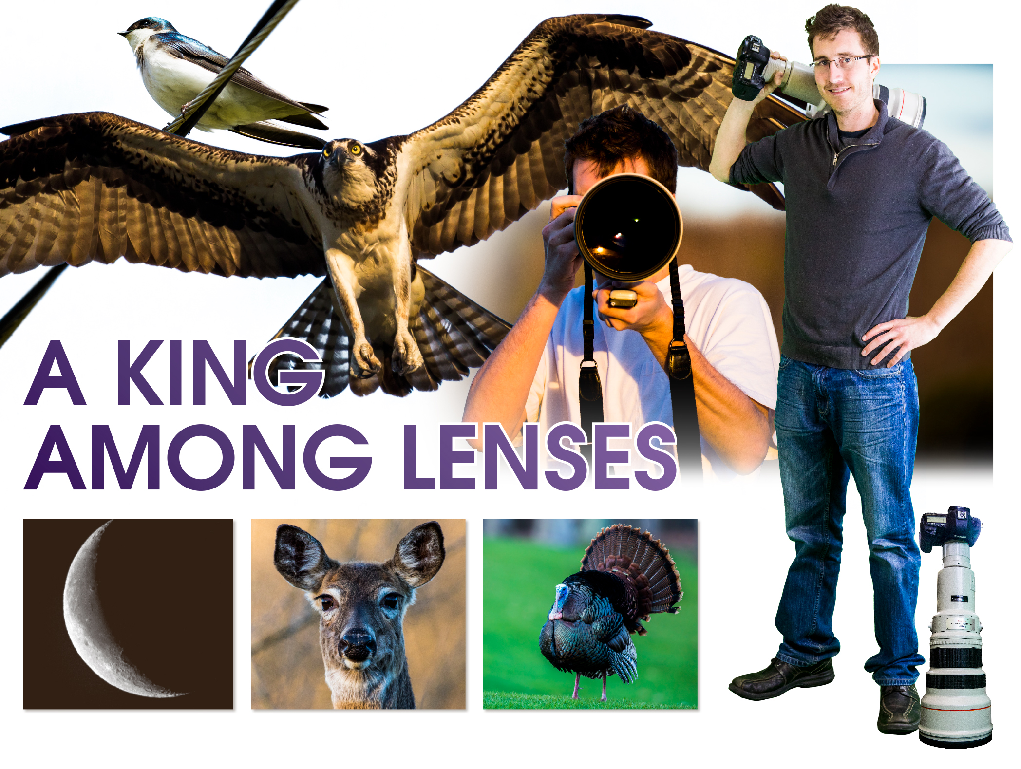 A LONG REACH: I spent a few days trying out a monster-of-a-lens, the Canon 600mm f/4 L USM. I spent my days with the lens shooting wildlife and I even woke up one morning early to get a photo of the moon as it rose above the horizon.