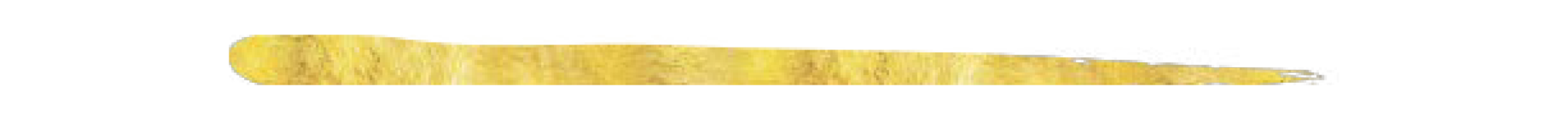 Gold Foil Line.png