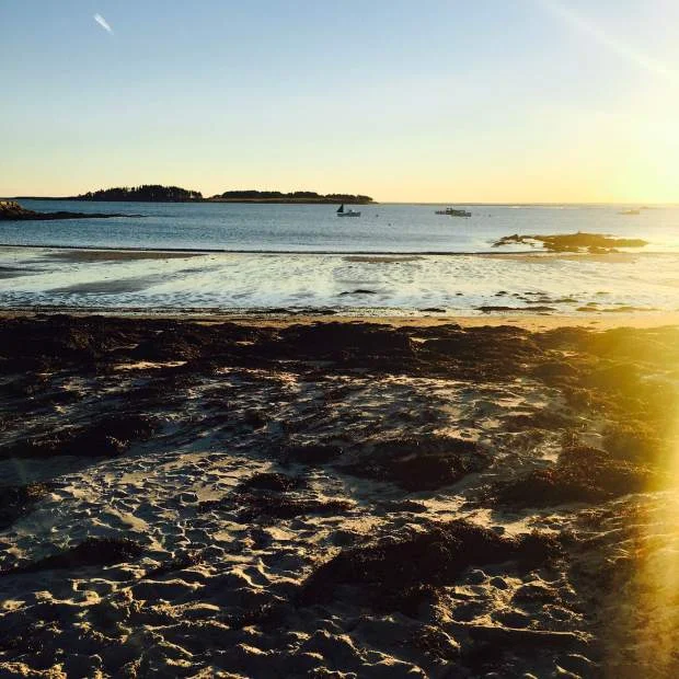 maine6
