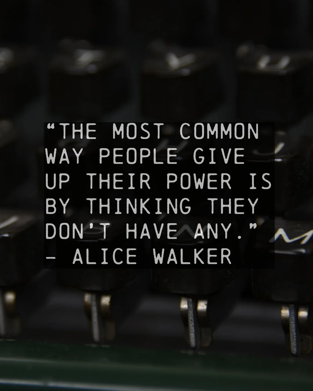 Today's quote from Alice Walker, American novelist, short story writer, poet, social activist, and Pulitzer Prize winner, serves as a timely reminder when things seem bleak. Don't give up. #votethemout ⁠
⁠
www.ThomasKelleherWrites.com⁠
⁠
Follow 👉 @t