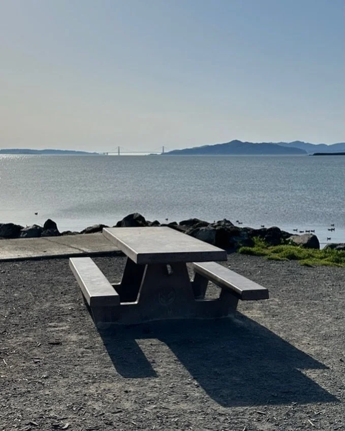 Nice day for a stroll.

Follow 👉 @thomaskelleherwrites 👈

#thomaskelleherwrites #author #authors #writing #writer writers authorsofinstagram writersofinstagram screenwriter screenwritersofinstagram screenwriters screenwriting