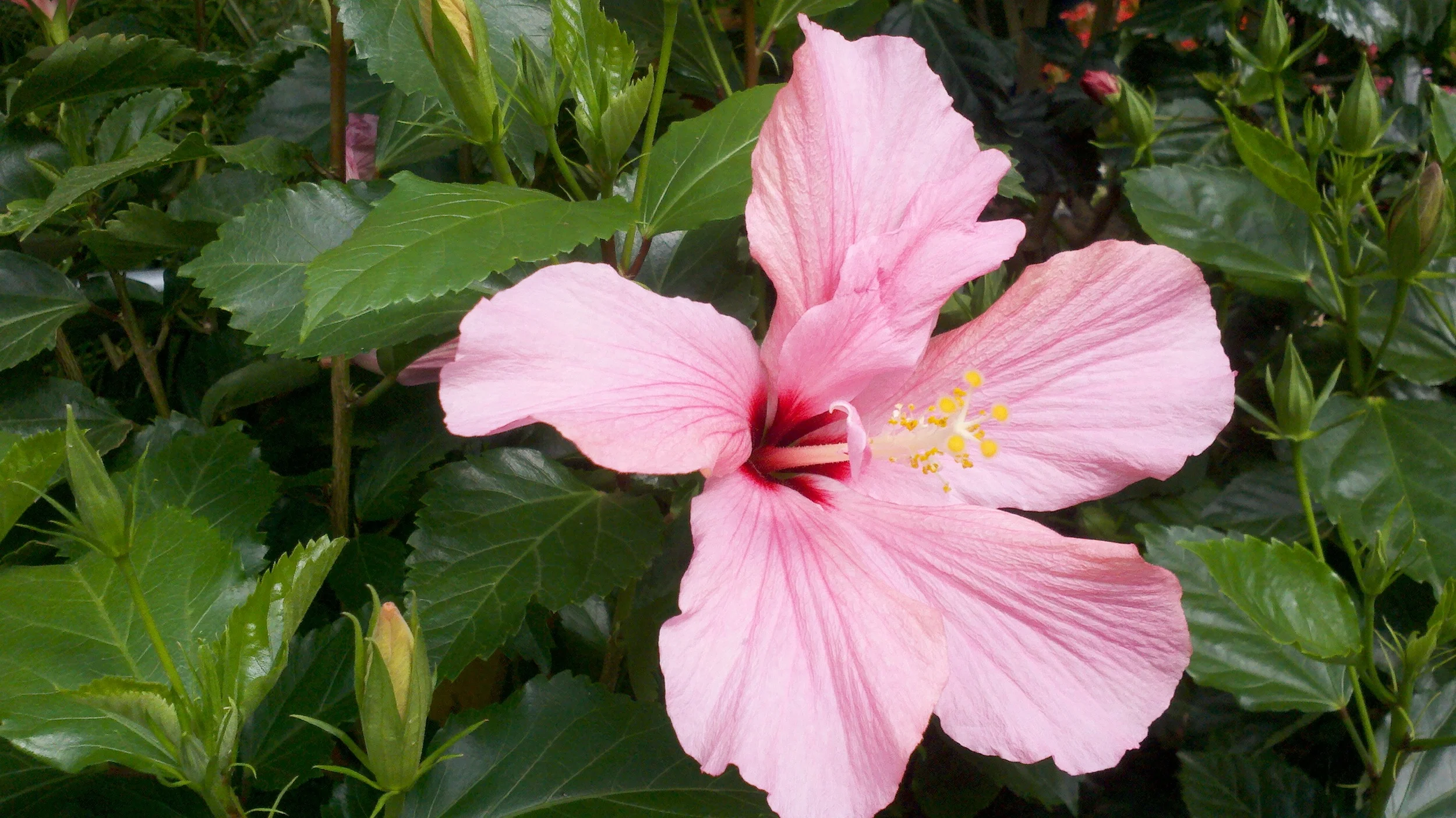 2011-04-25_14-31-48_457.jpg