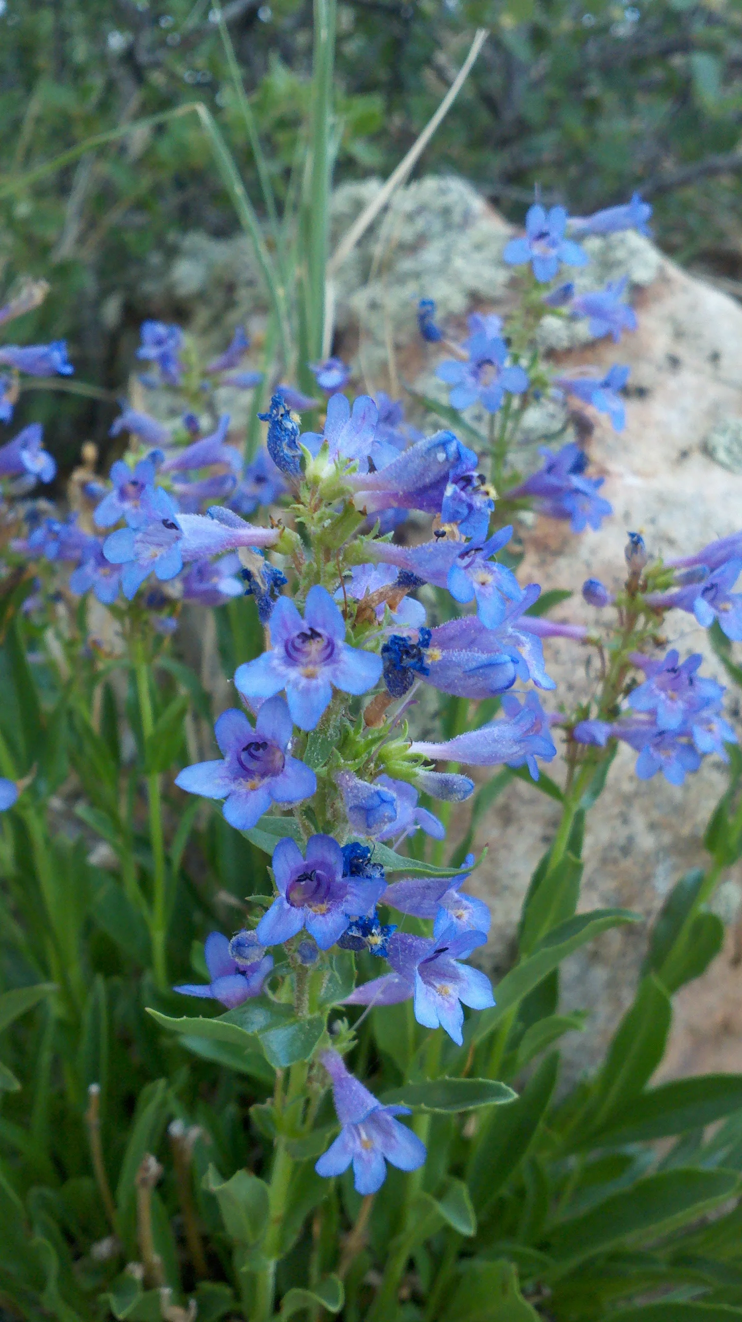 2011-06-08_19-01-00_820.jpg