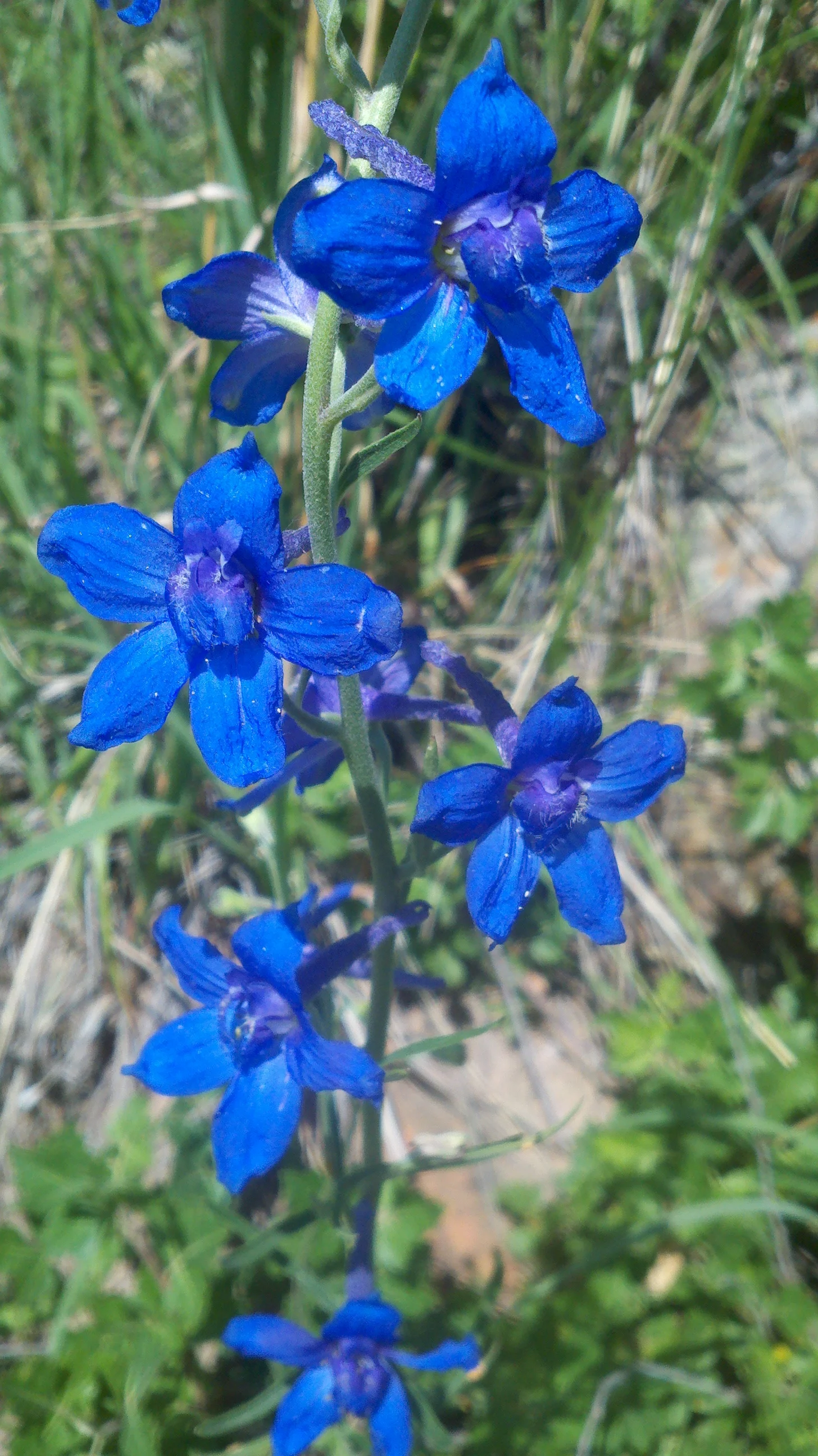 2011-06-25_15-43-00_953.jpg