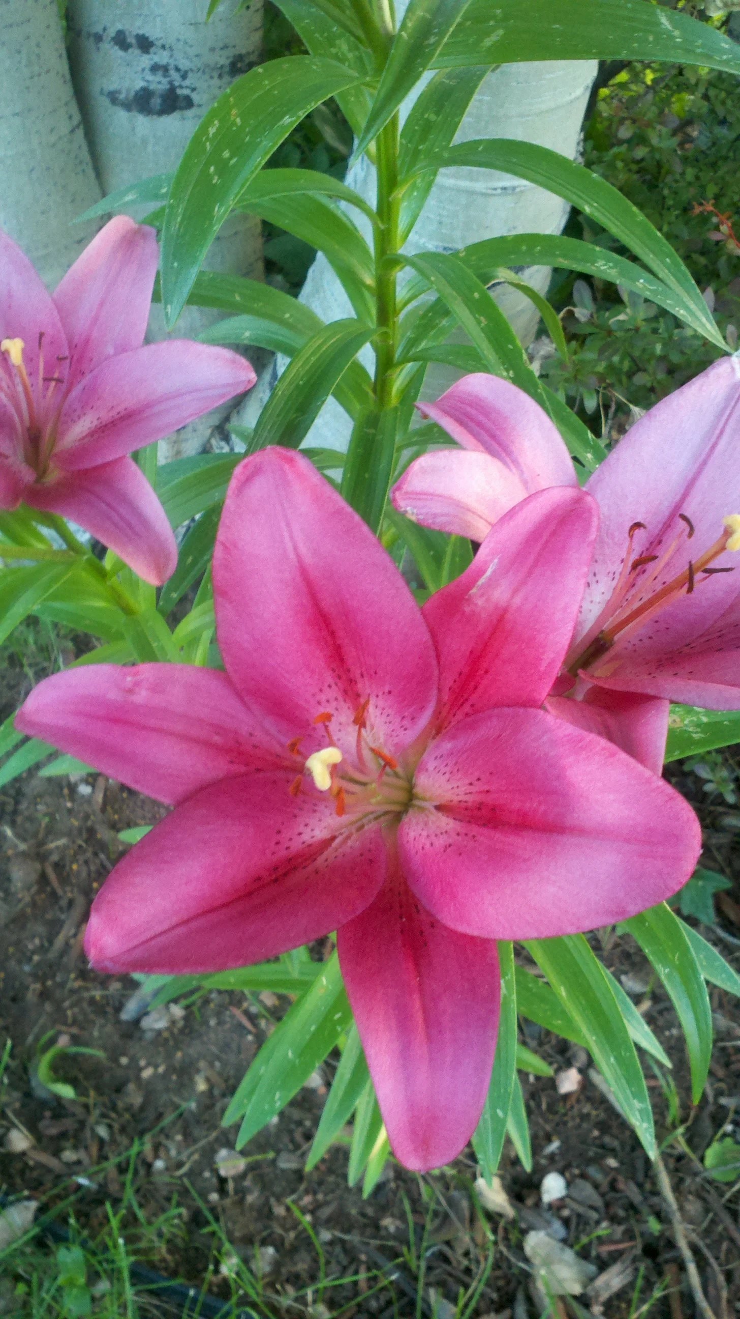 2011-06-25_20-24-05_718.jpg