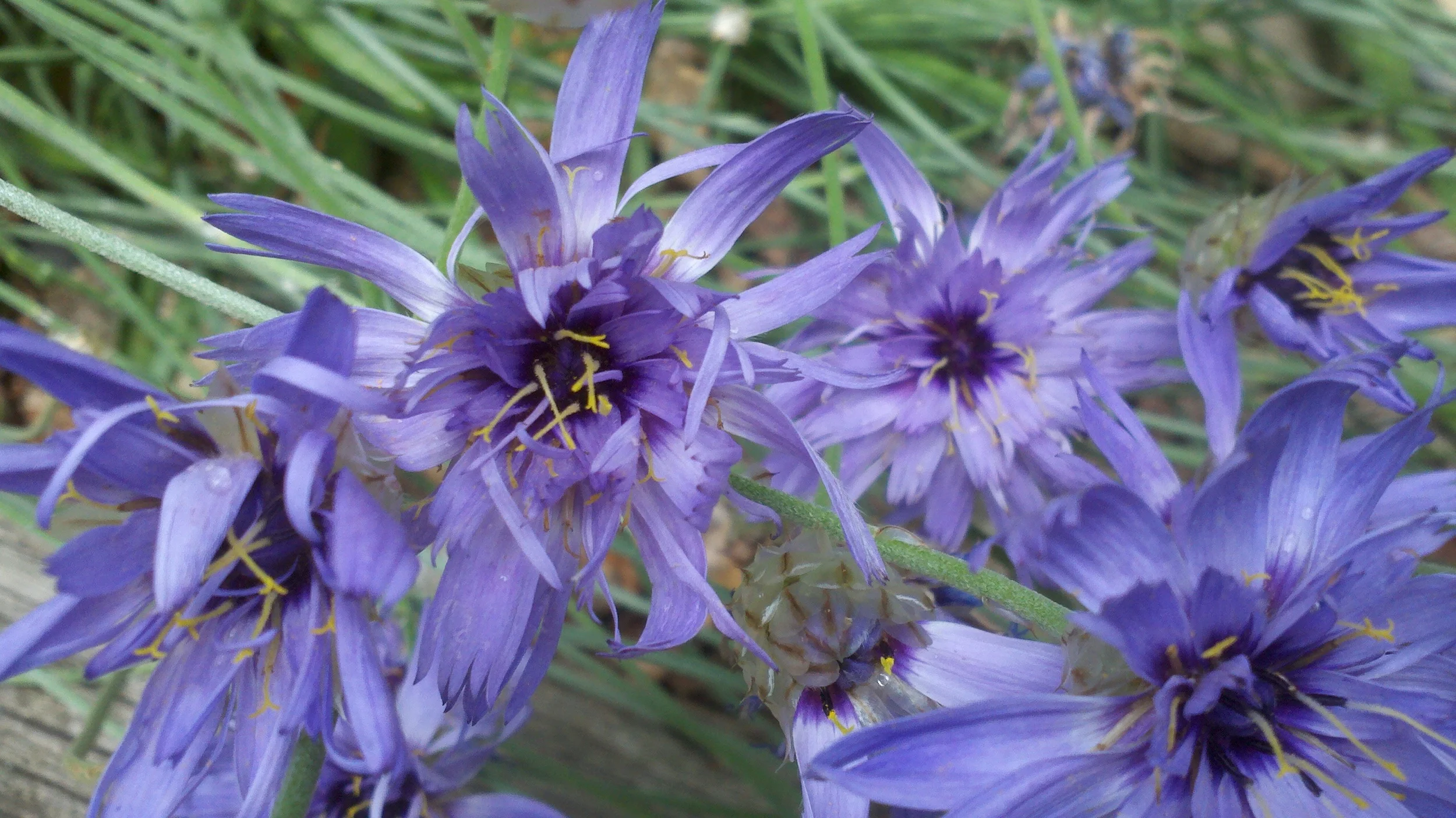 2011-07-09_13-36-19_210.jpg