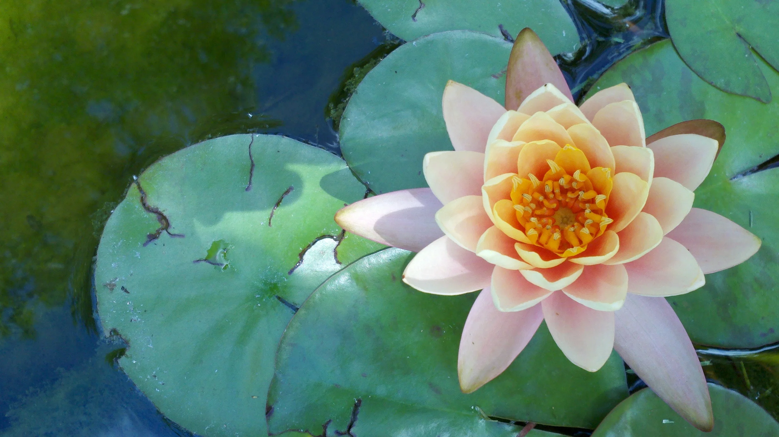 2011-07-24_14-21-34_749.jpg