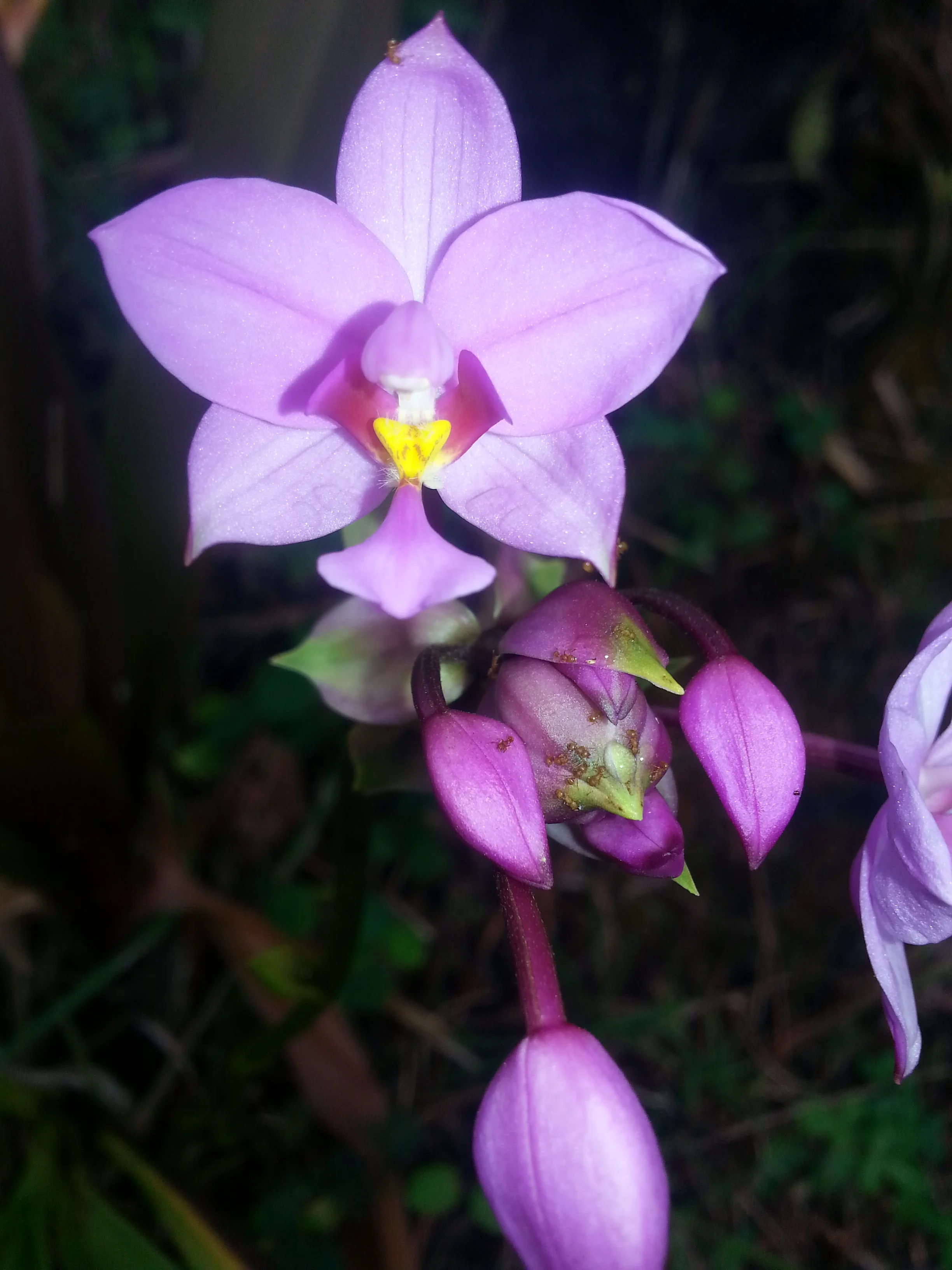 20130721_085028.jpg