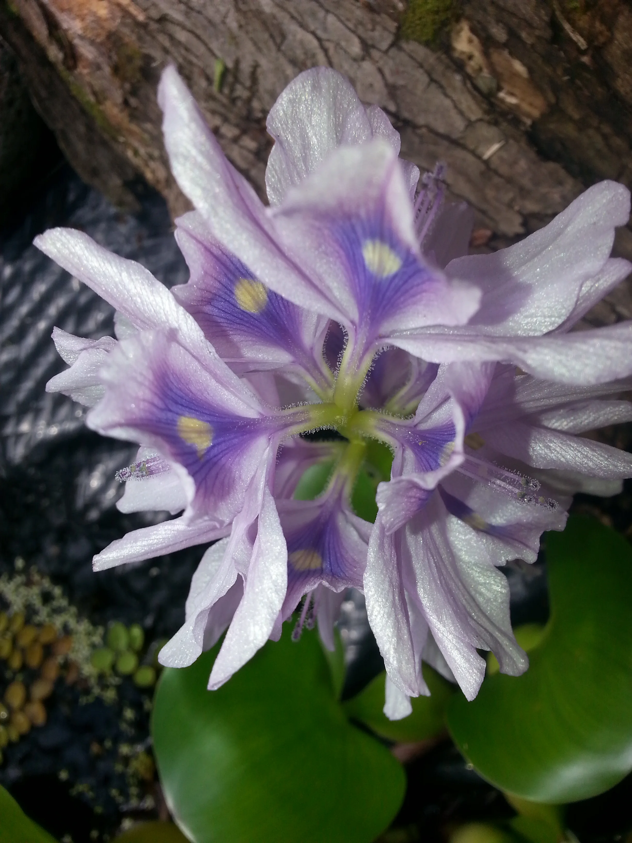 20130731_162903.jpg