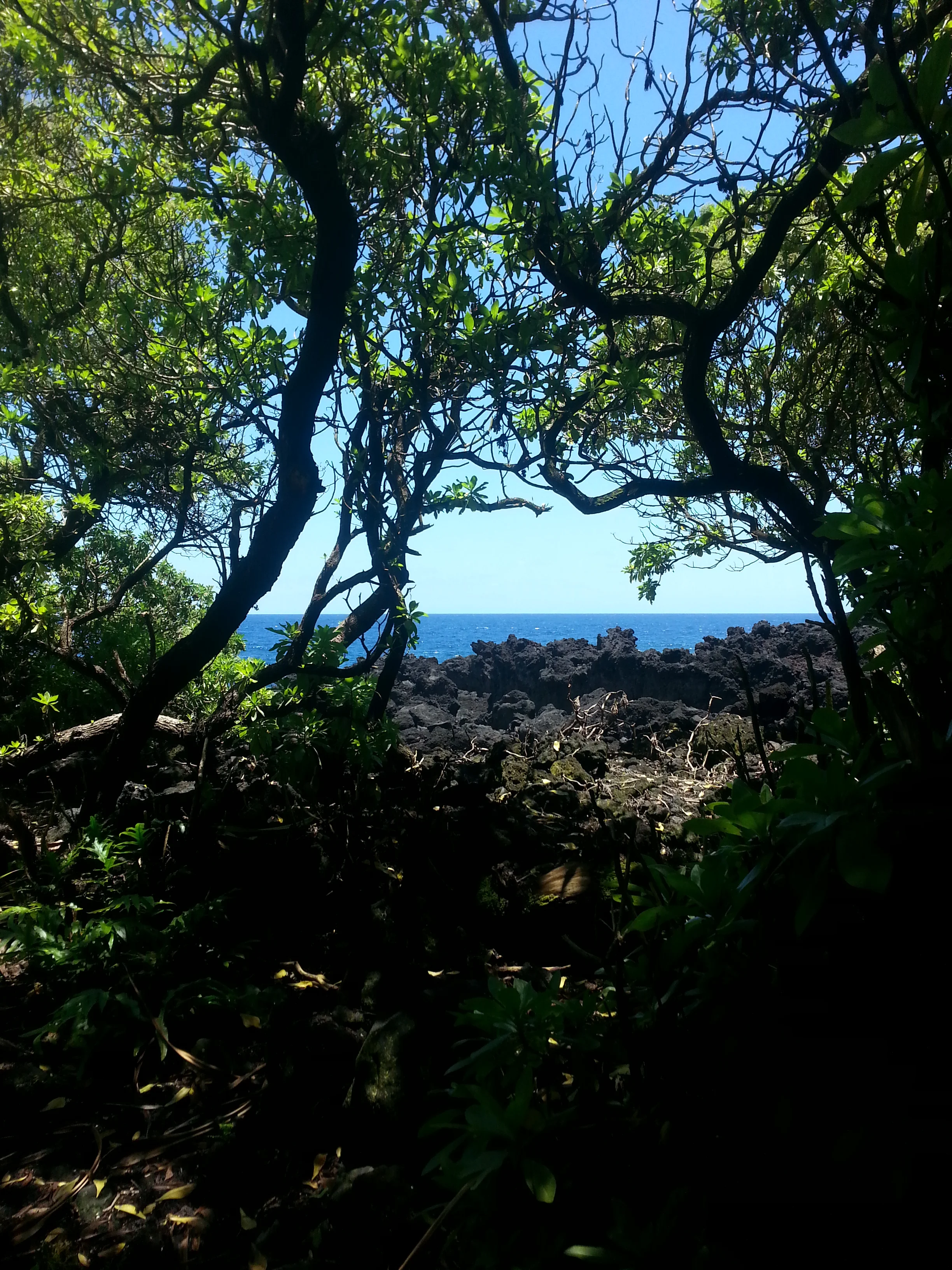 20130805_120748.jpg