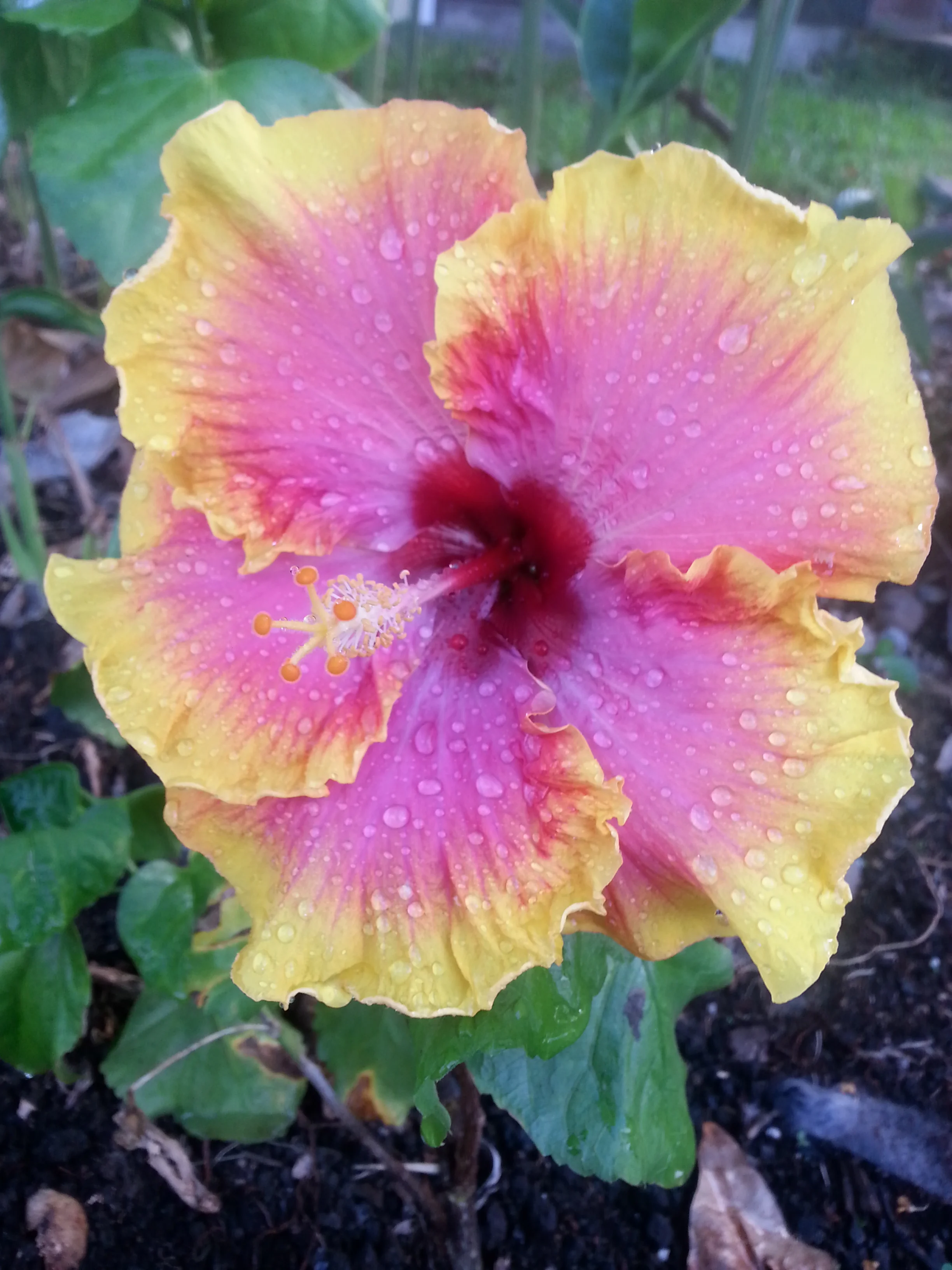20130915_171653.jpg