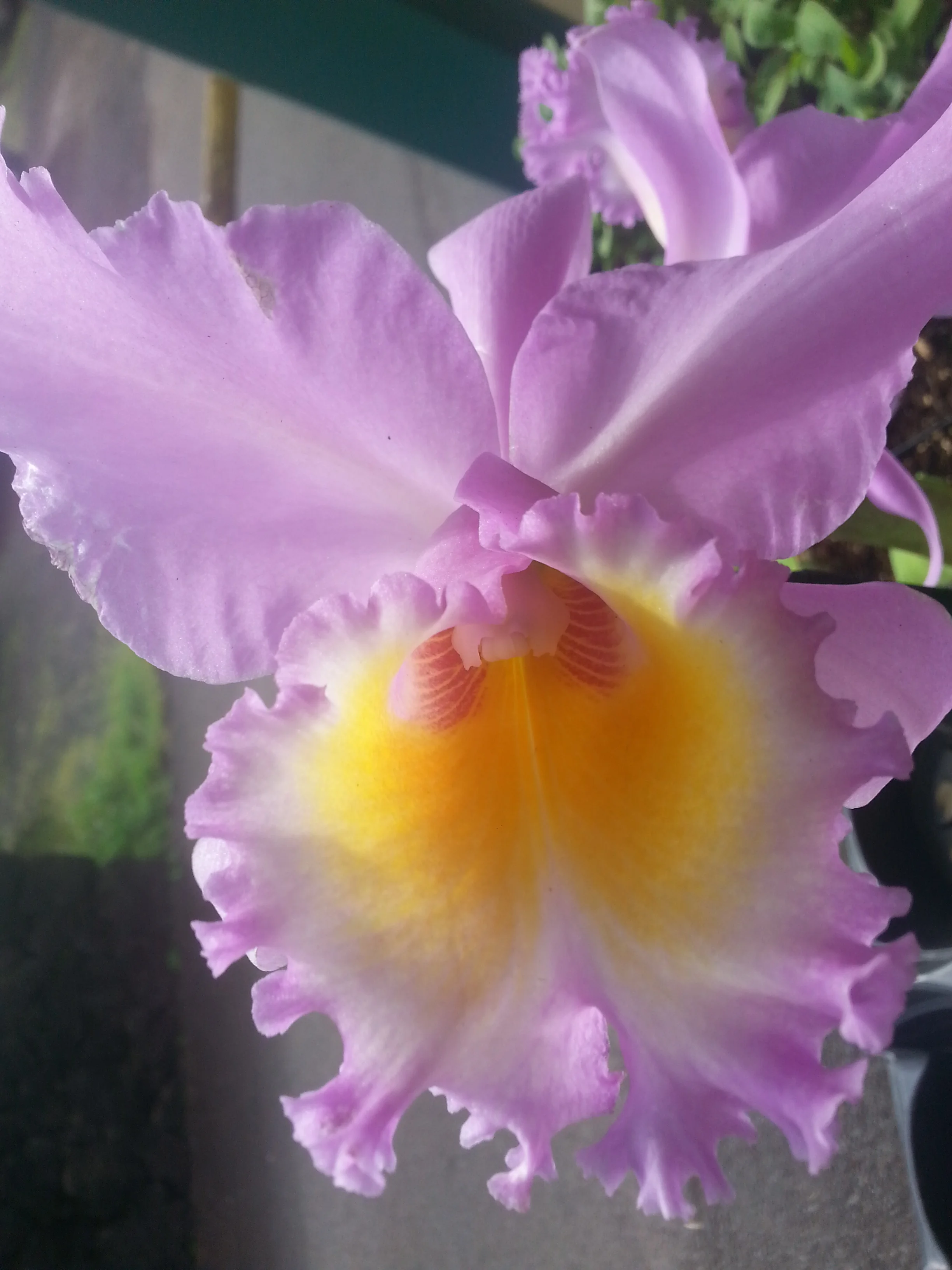 20131001_144105.jpg