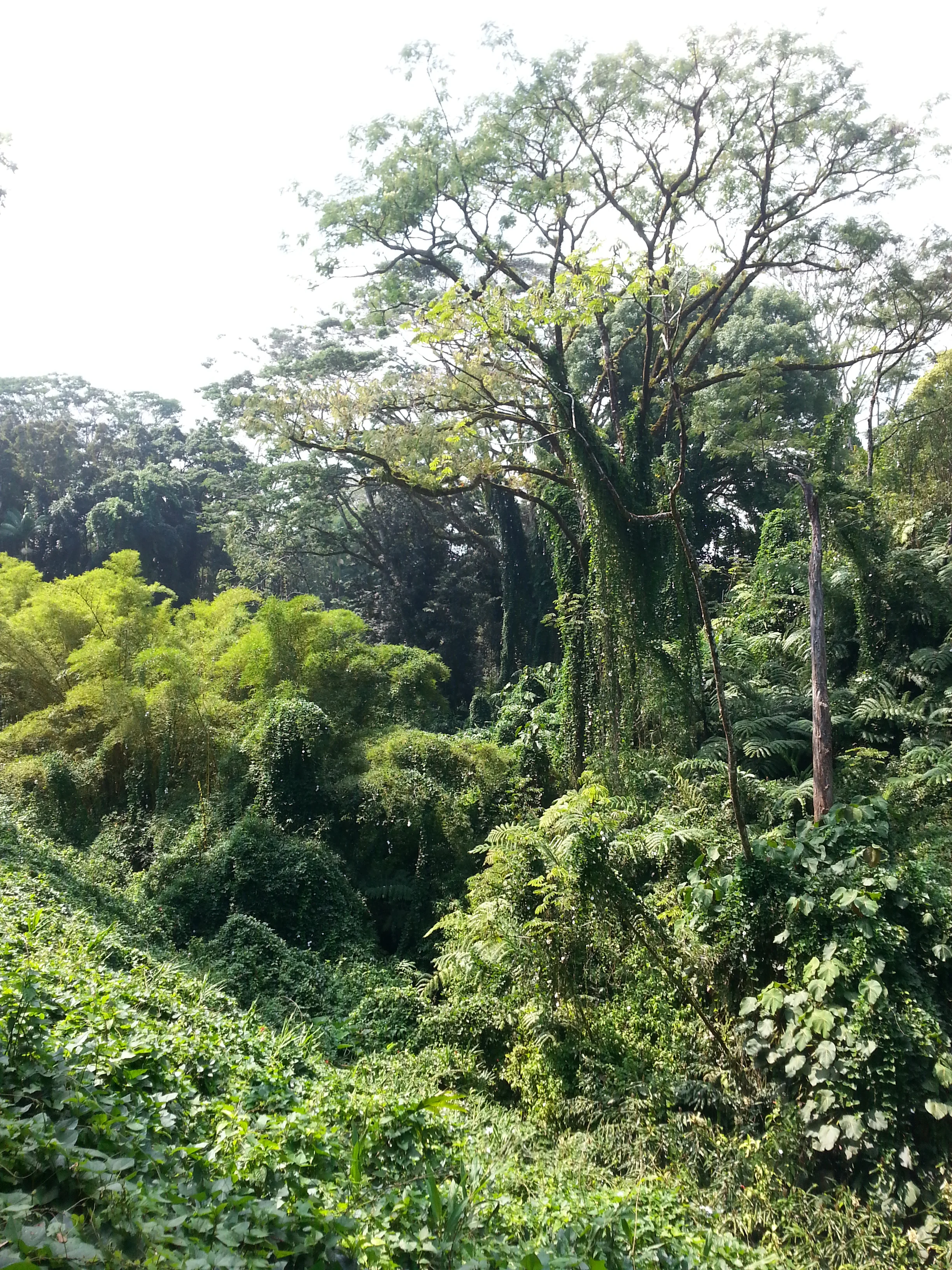 20131019_112354.jpg