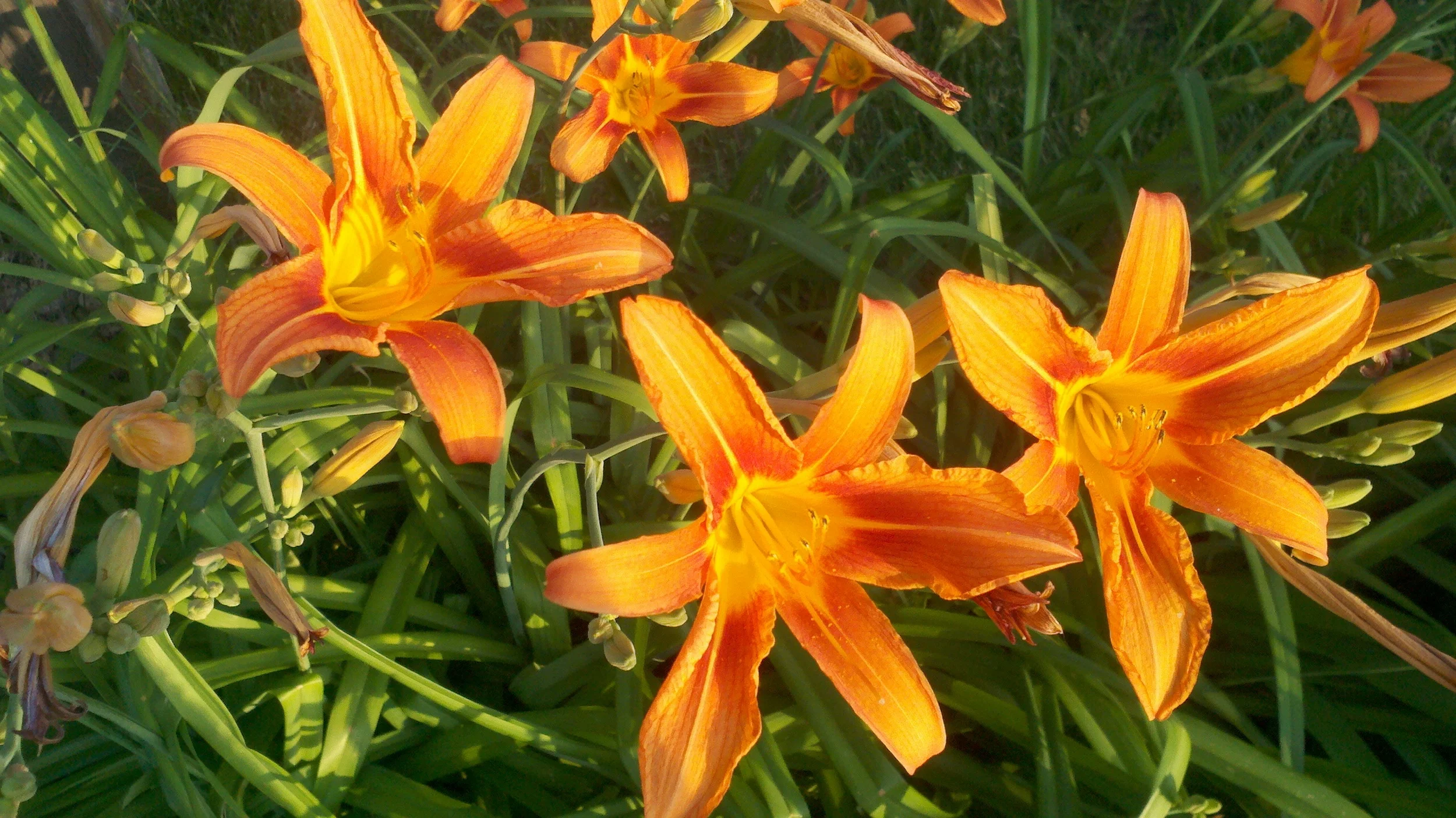 2011-06-28_19-03-32_540.jpg