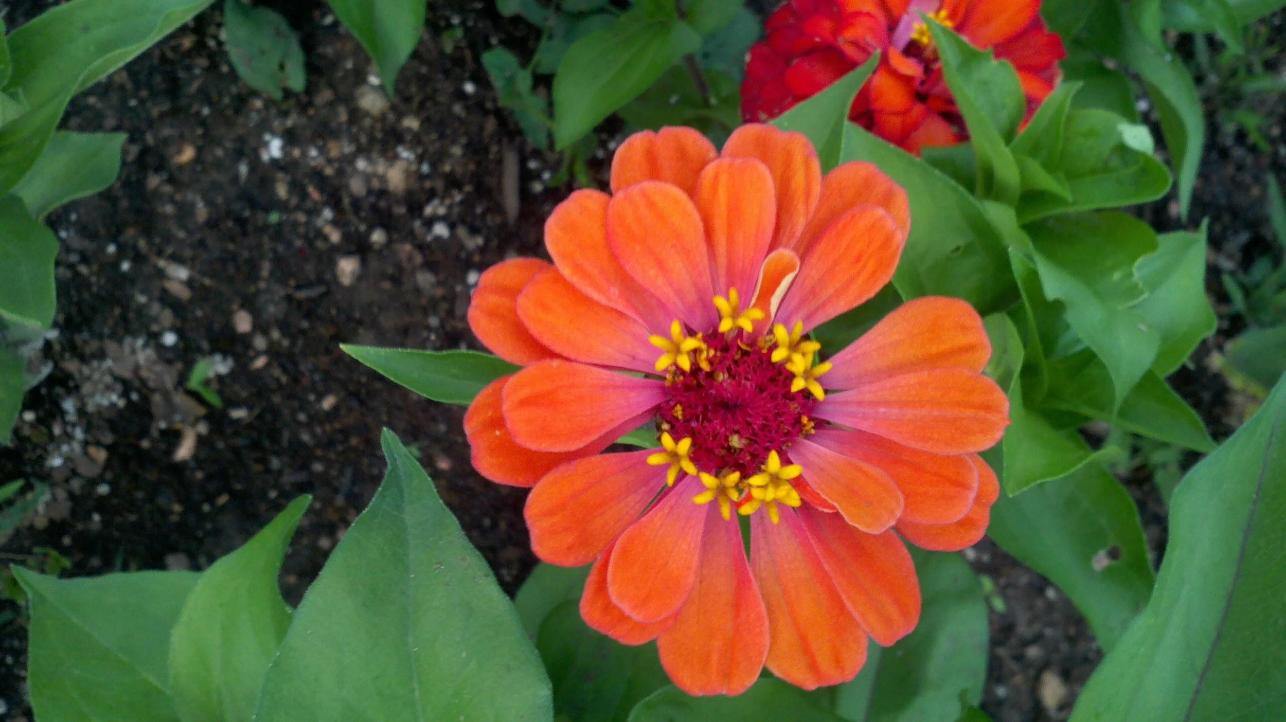 2011-07-13_20-05-26_314.jpg