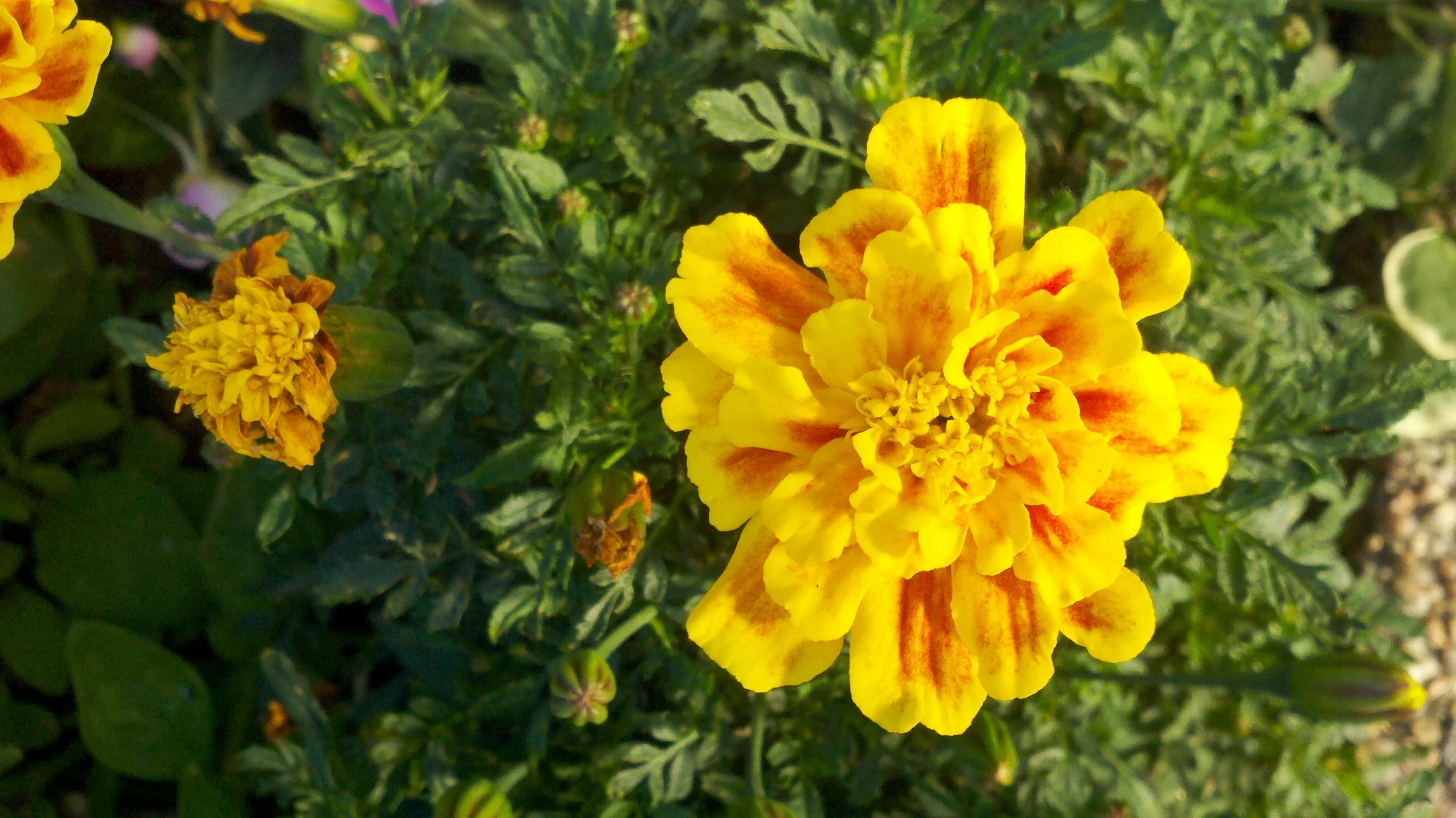 2011-08-05_18-17-54_148.jpg