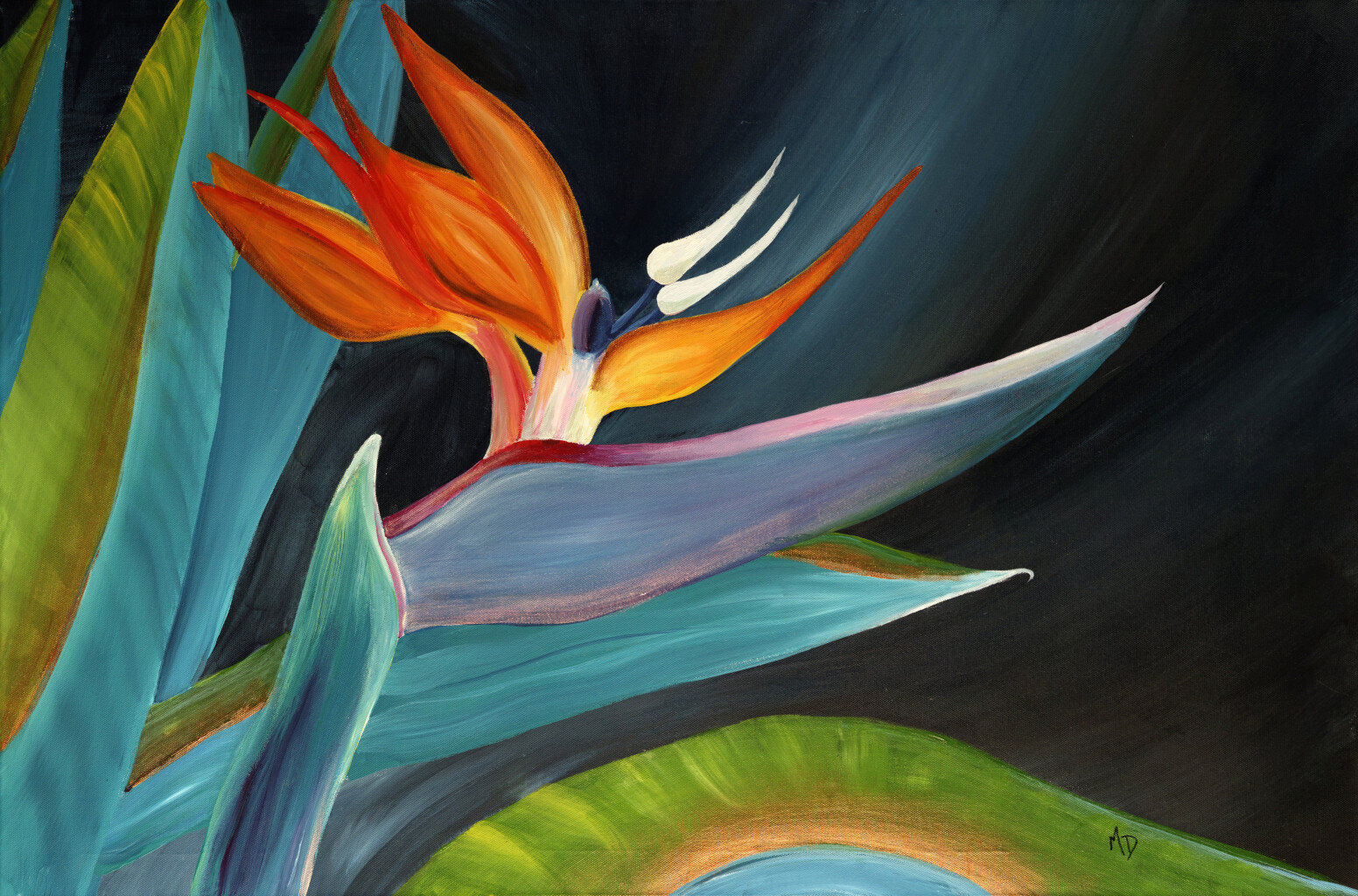 bird of paradise jason.jpg