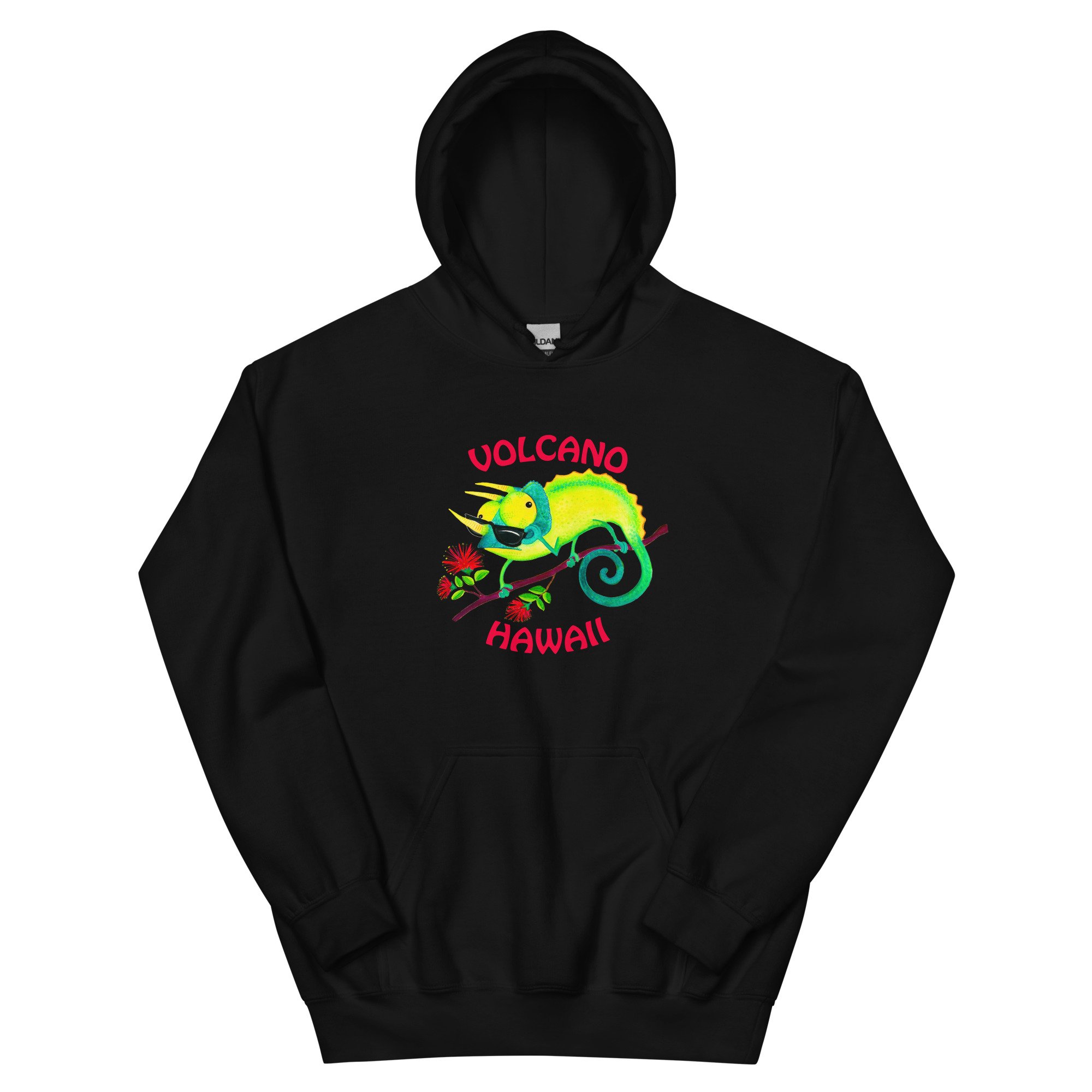 unisex-heavy-blend-hoodie-black-front-6609dc9441960.jpg