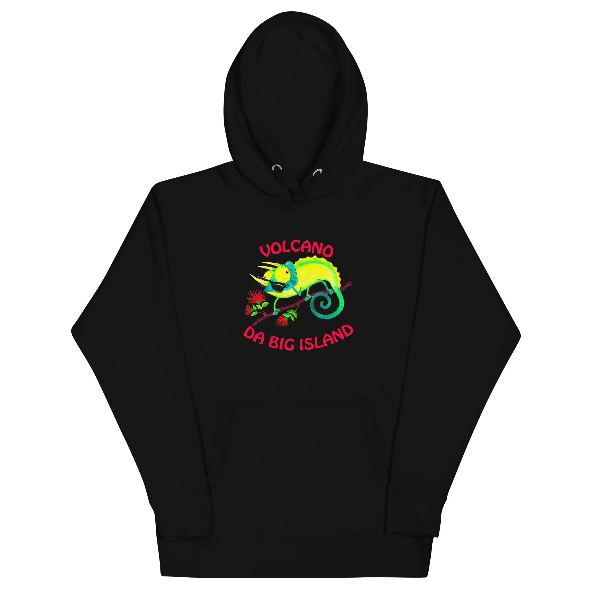 unisex-premium-hoodie-black-front-6609de69efae9.jpg