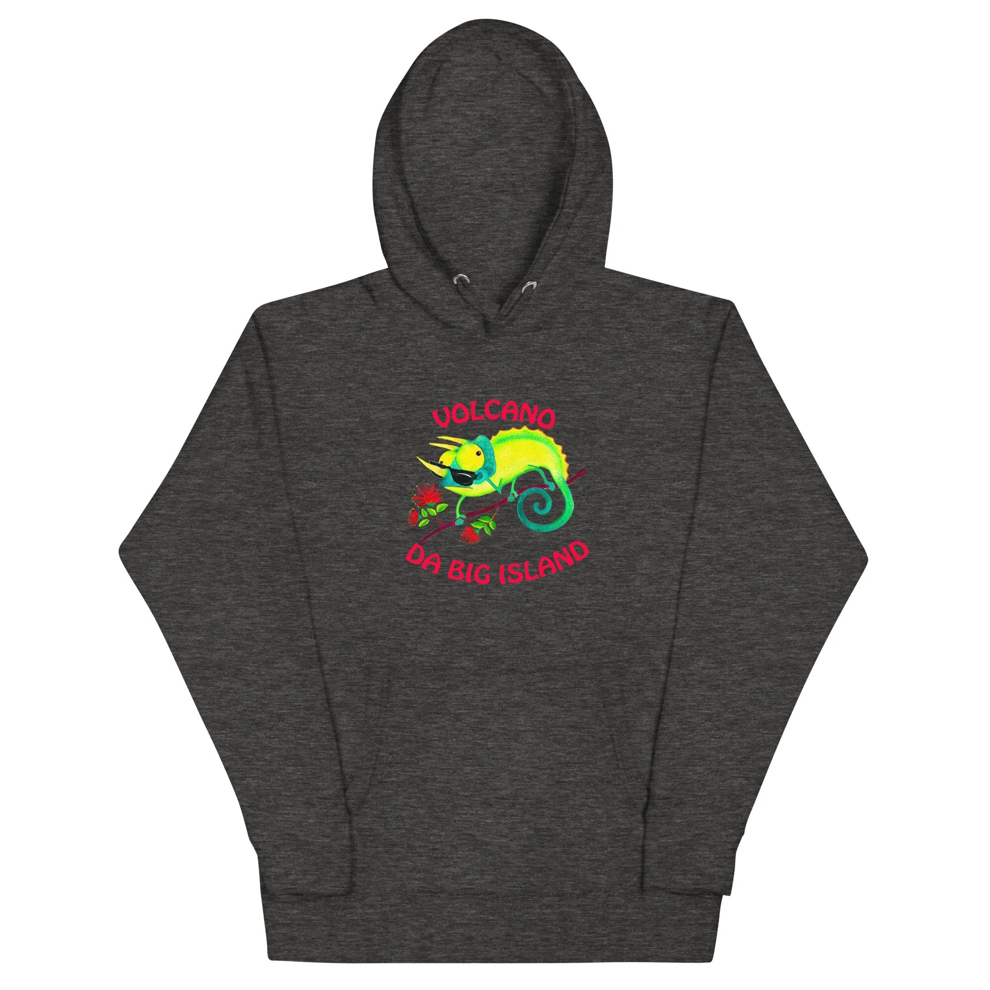unisex-premium-hoodie-charcoal-heather-front-6609de69f33bc.jpg