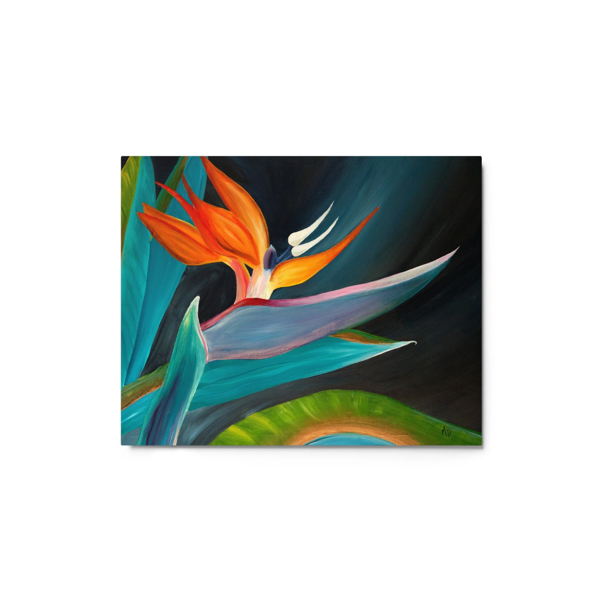 glossy-metal-print-(in)-white-8x10-front-6609e2d4288ab.jpg