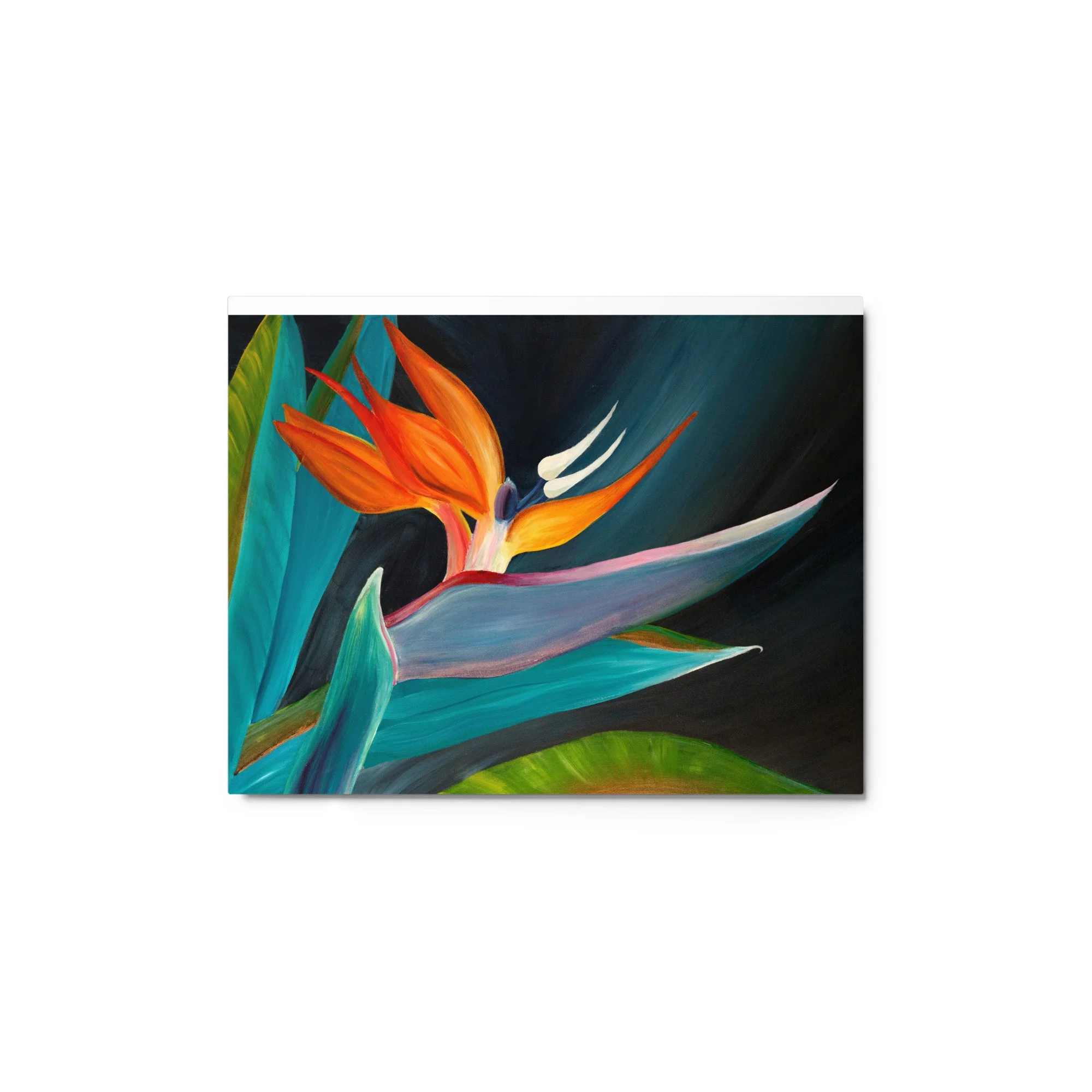 glossy-metal-print-(in)-white-11x14-front-6609e2d429e9d.jpg