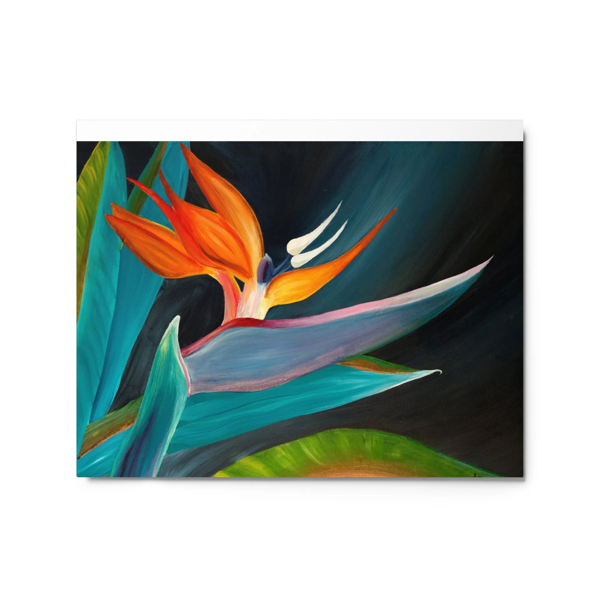 glossy-metal-print-(in)-white-16x20-front-6609e2d429f70.jpg