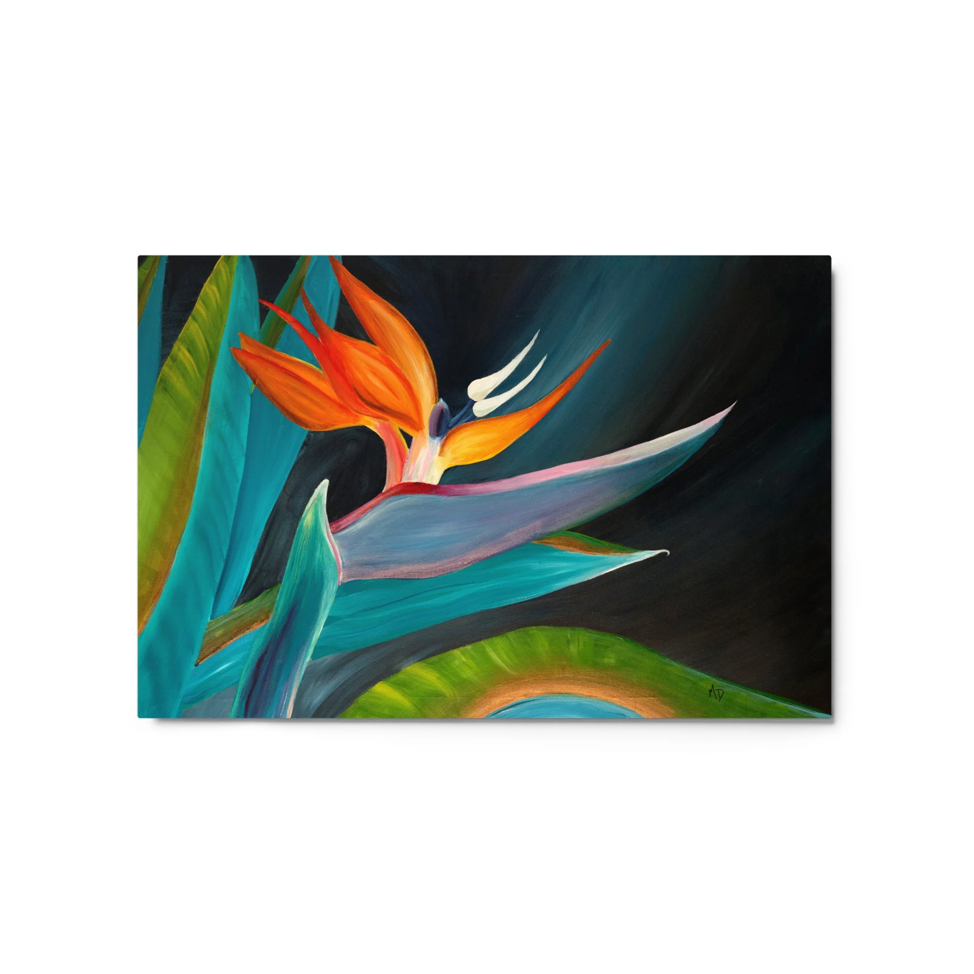glossy-metal-print-(in)-white-20x30-front-6609e2d429fe8.jpg