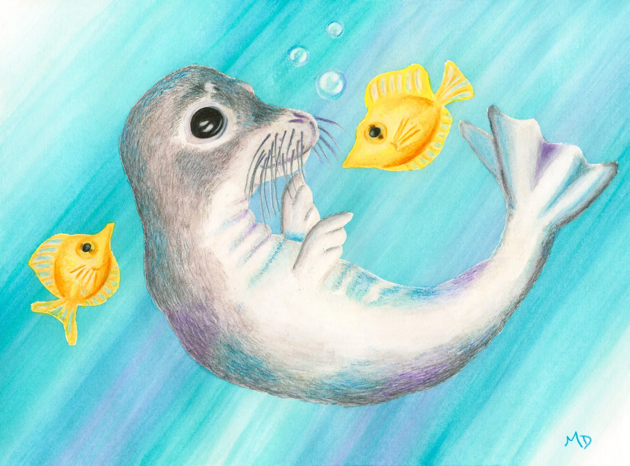 Monk Seal Pup with Yellow Tang
